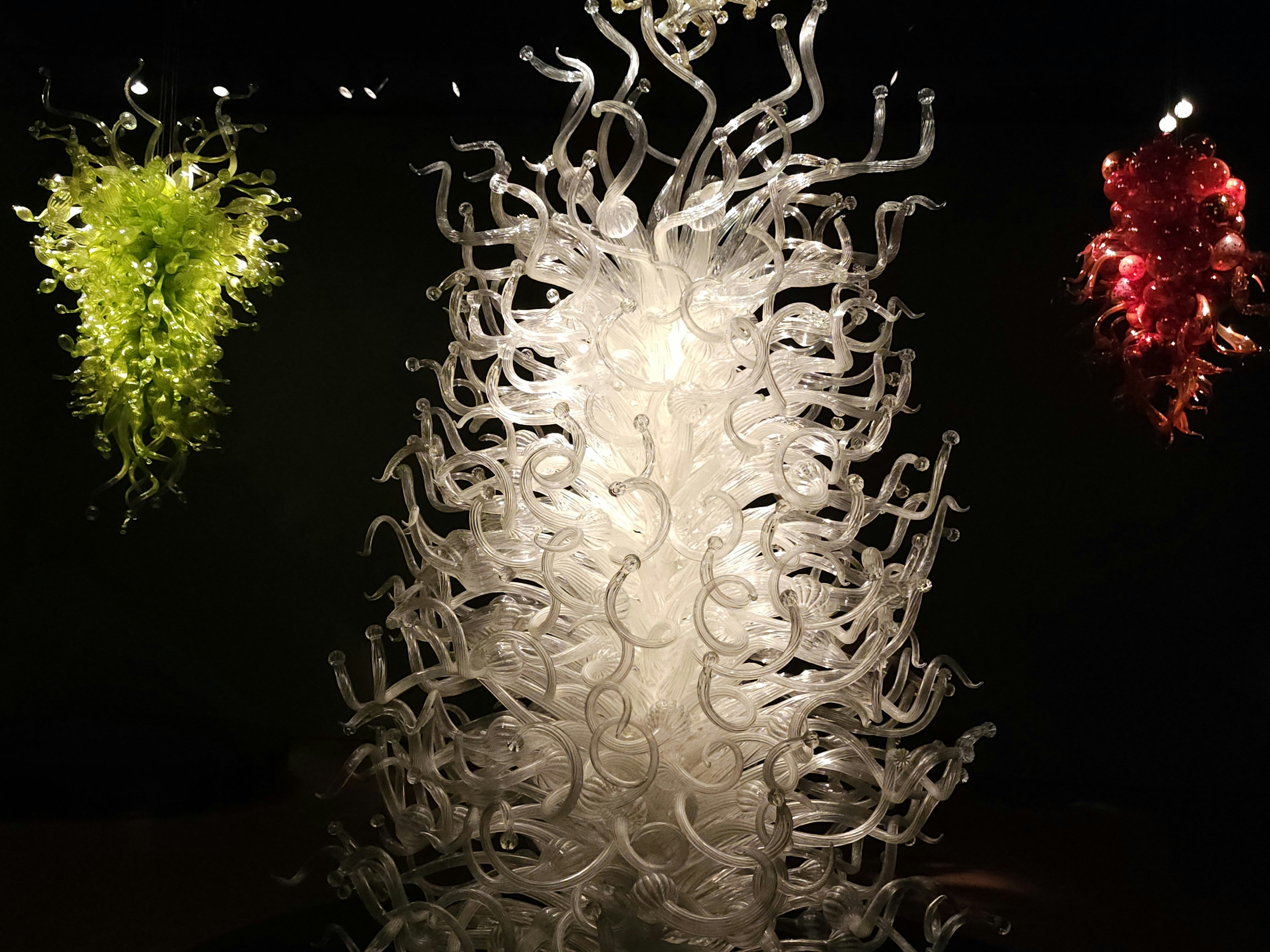 Photo by rakshith_acharya