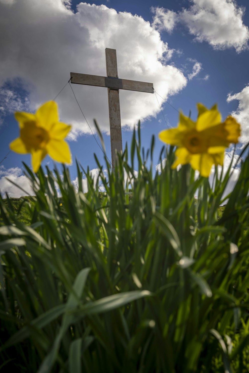 a cross in the middle of a field of flowers