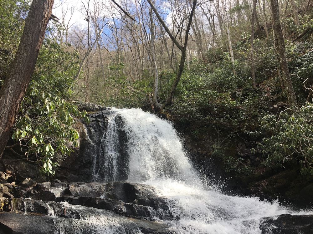 a small waterfall in the middle of a forest