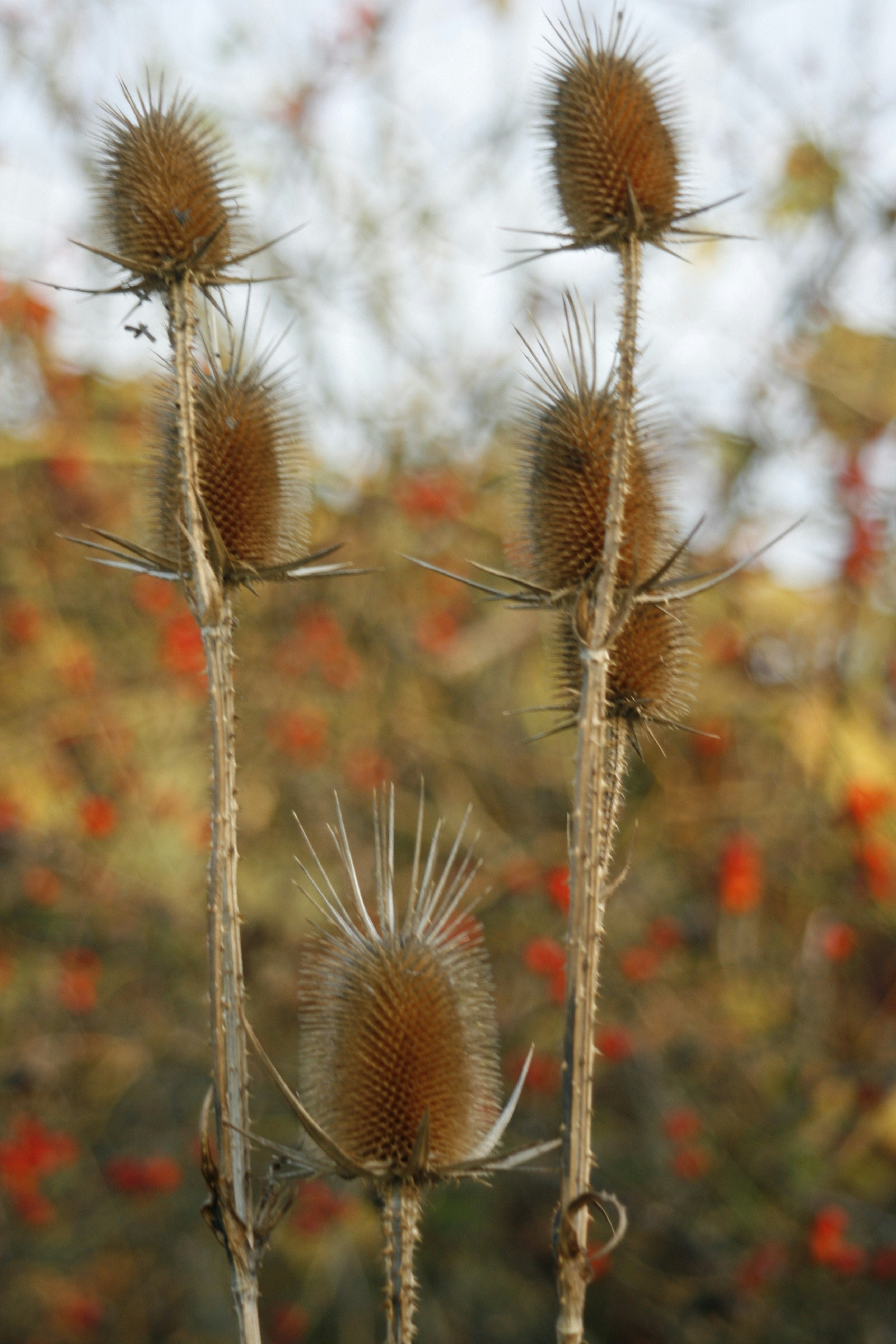 Photo by kovacsaladar