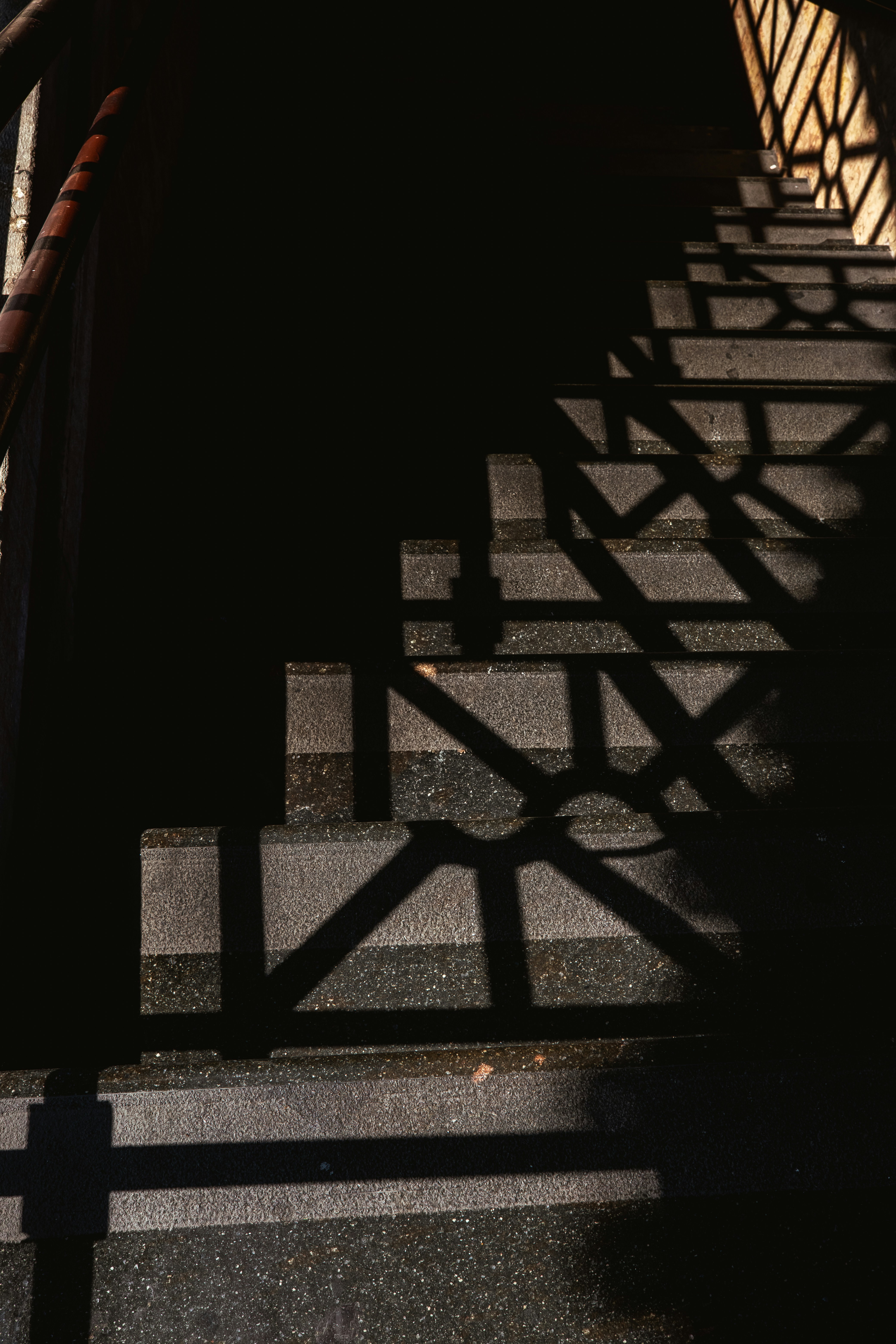 Photo by lorenzosardelli