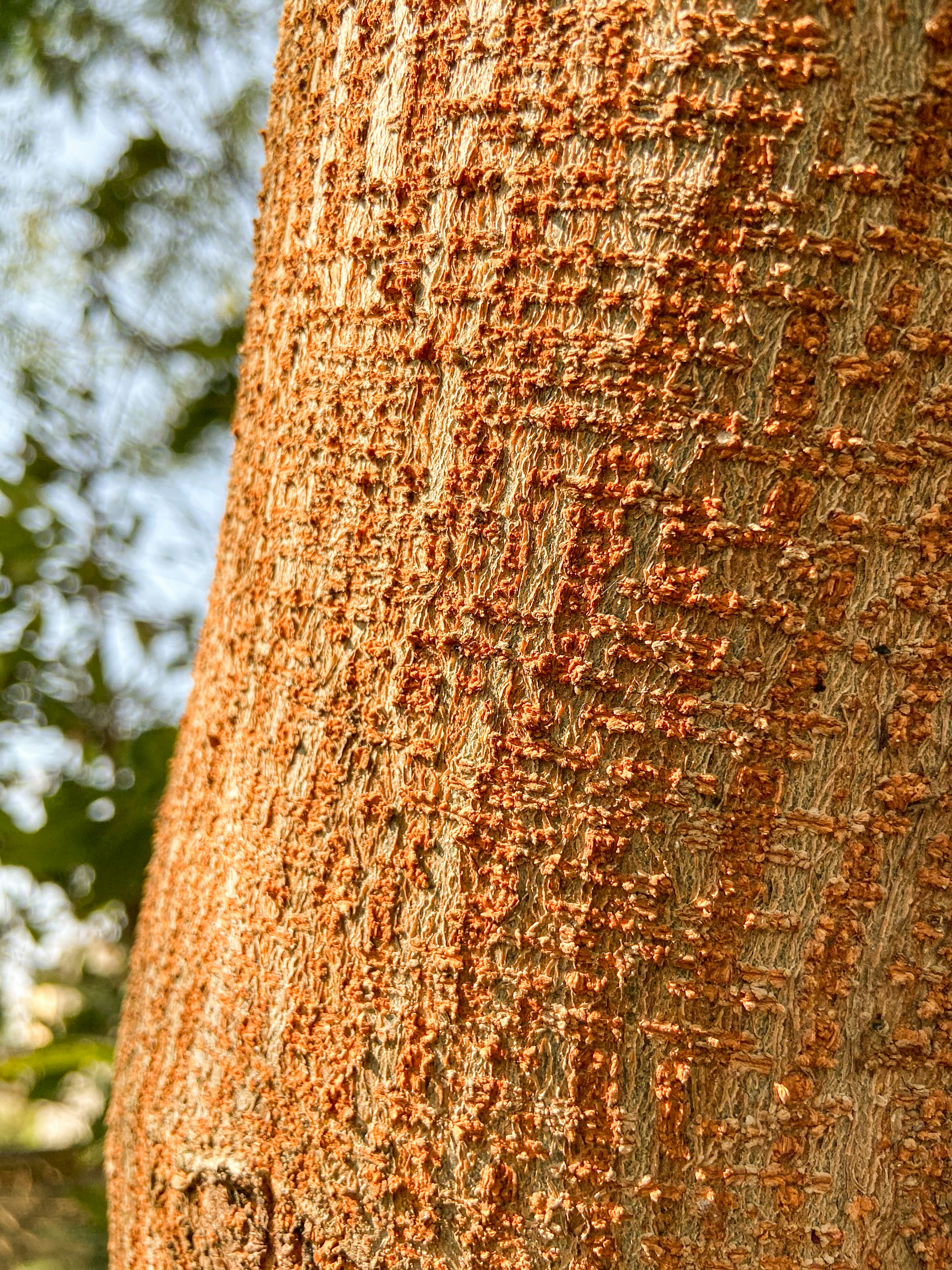 Photo by heyhimanshusharma