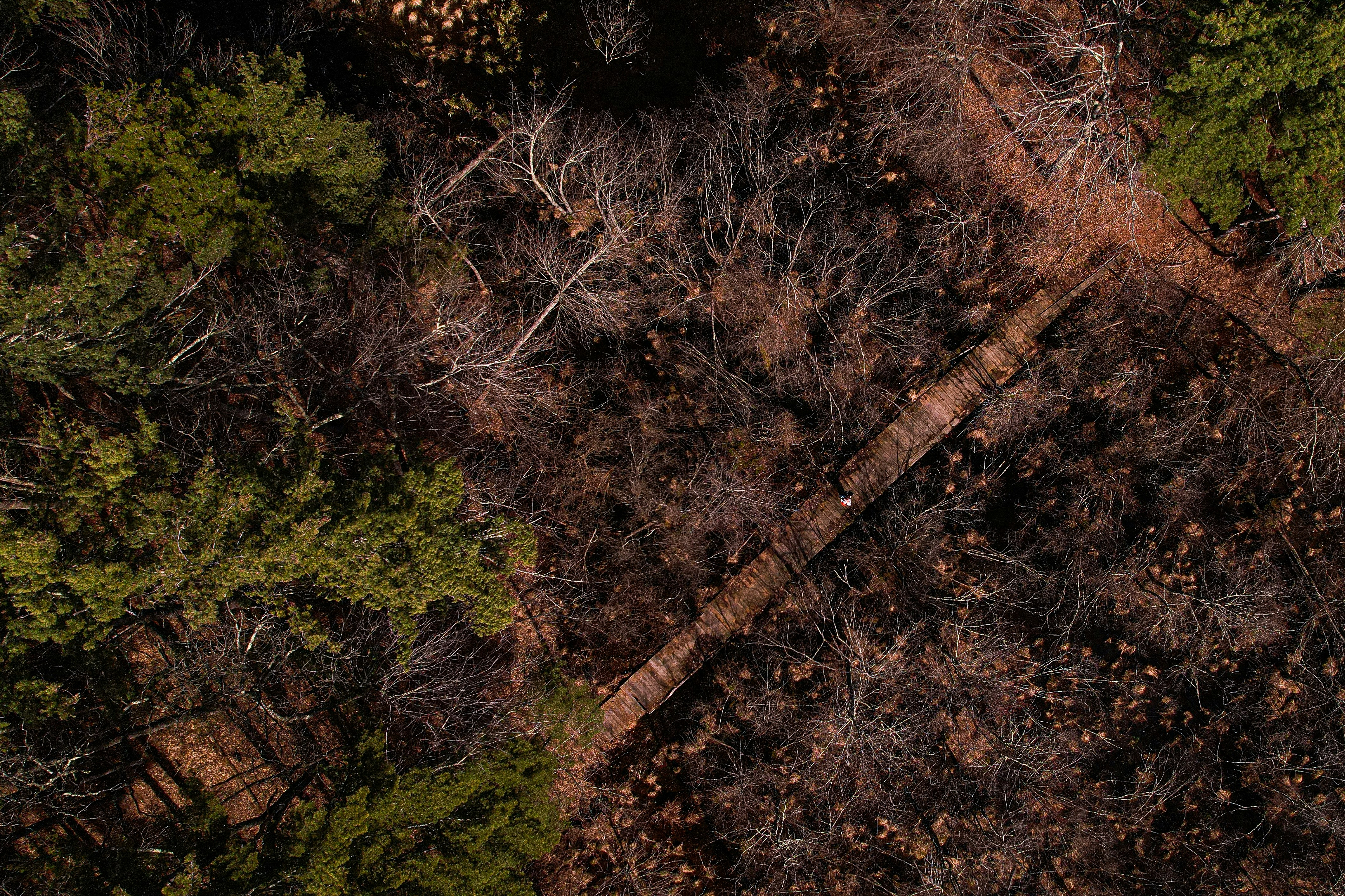 Photo by keepsake_media