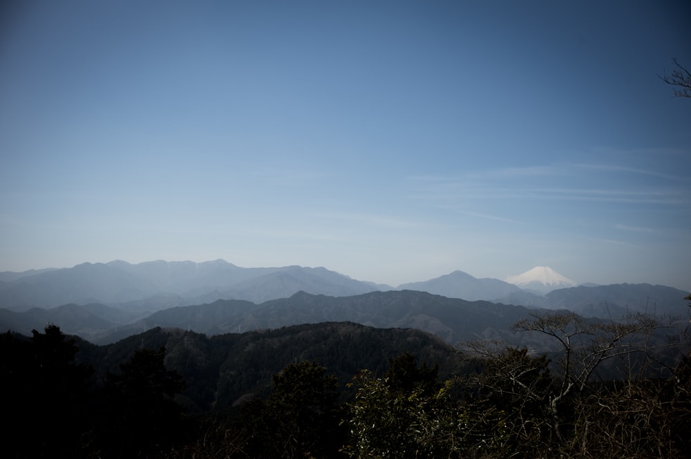 a view of a mountain range with trees in the foreground