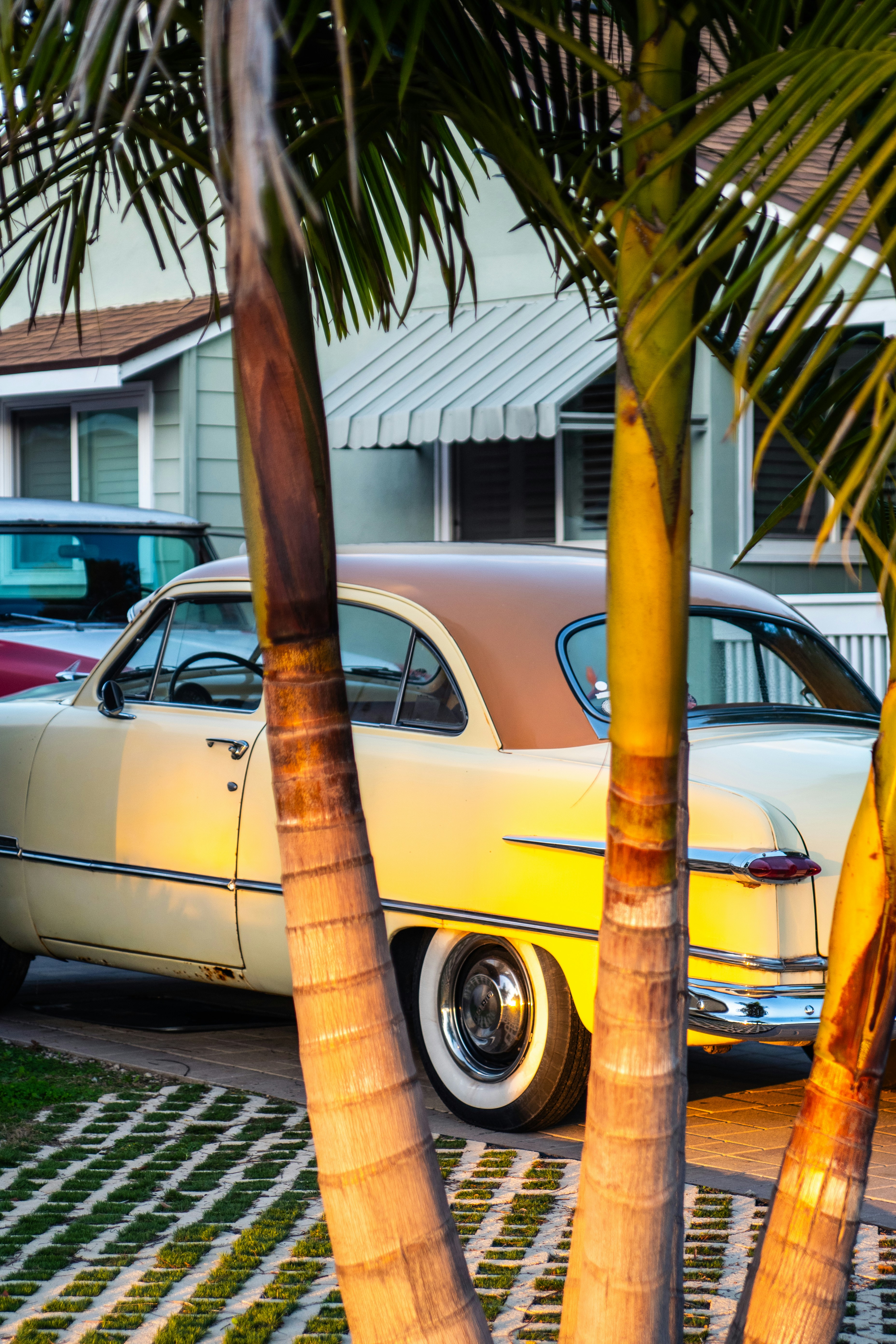 Photo by something_gabe