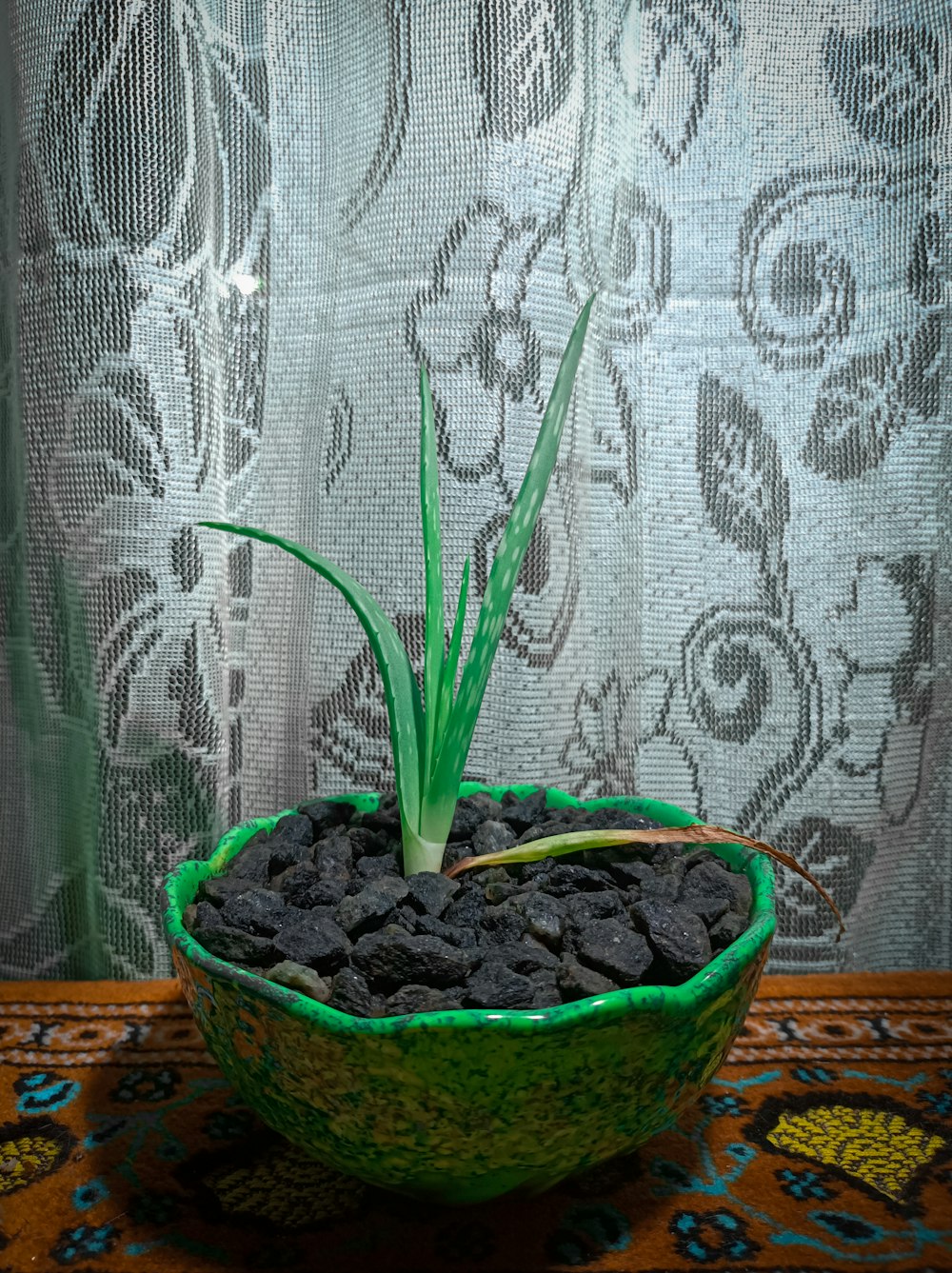 a green bowl with a plant inside of it