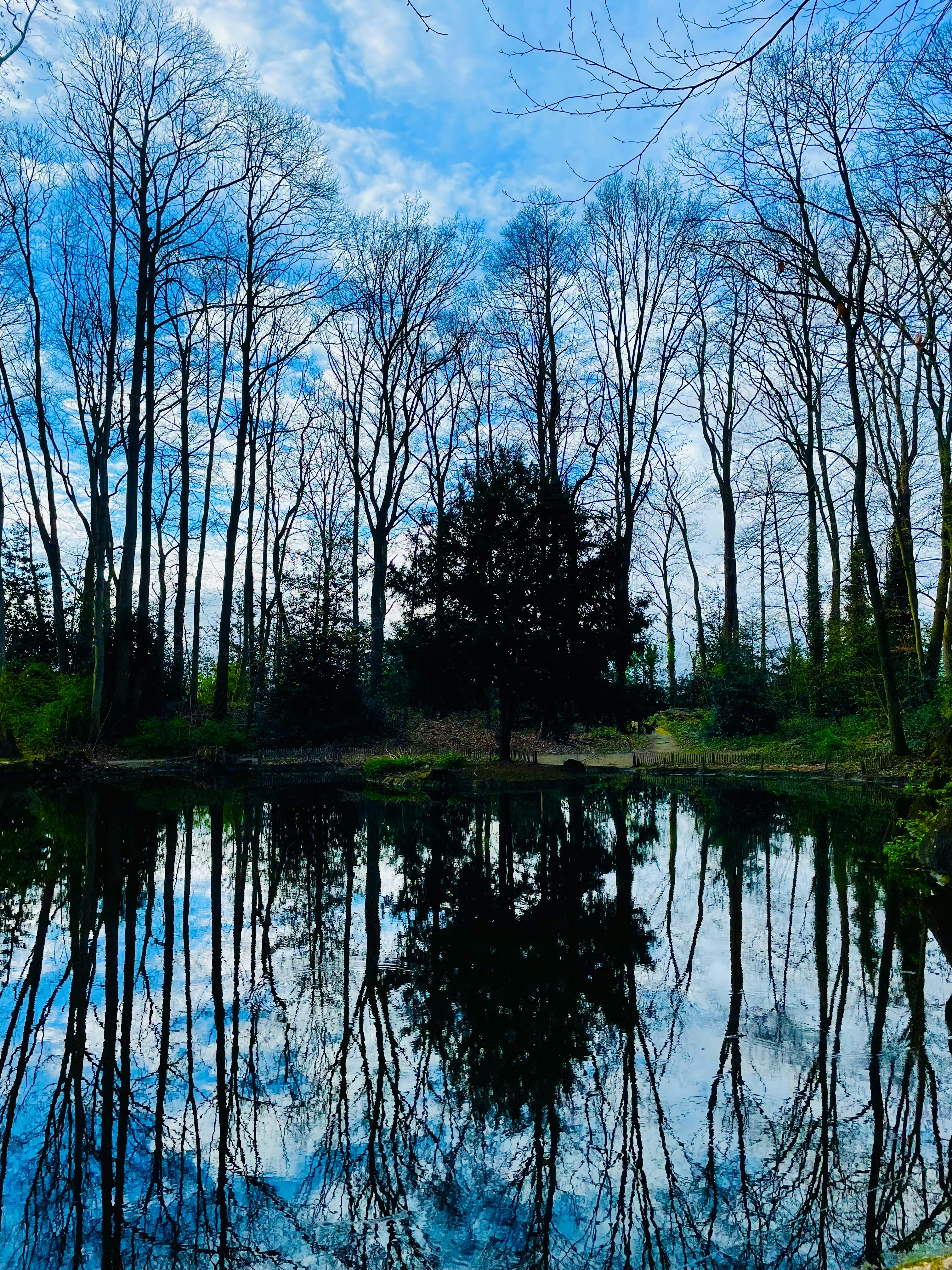 Photo by isomatrix