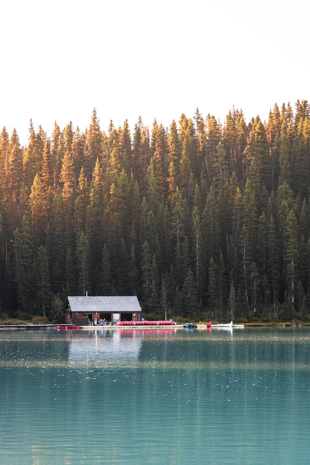 ein Haus an einem See, umgeben von Bäumen