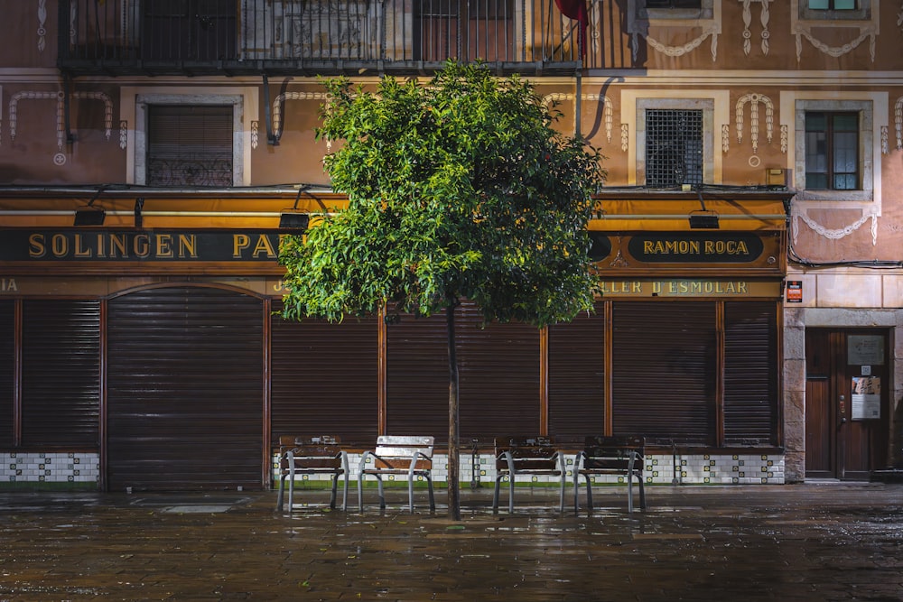 a group of tables sitting under a tree in front of a building