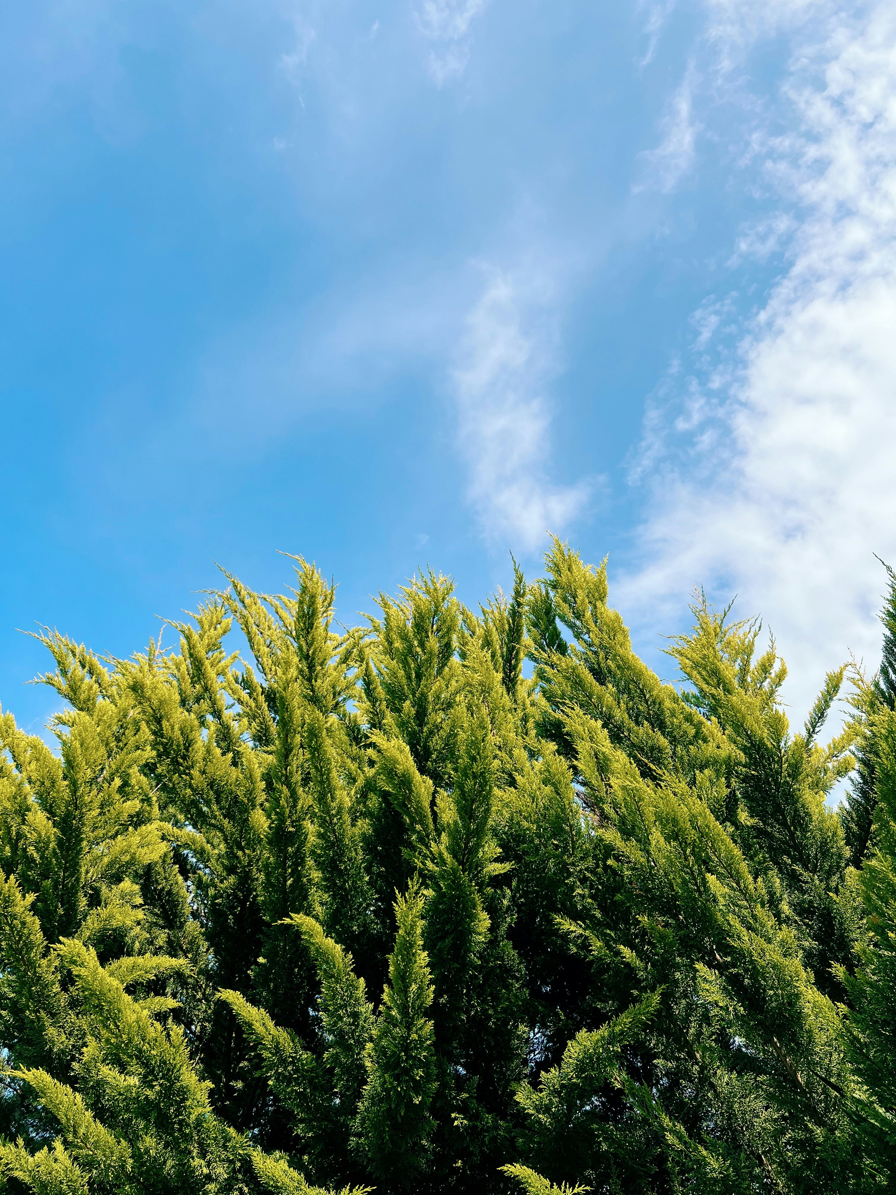 Photo by roozbeheslami