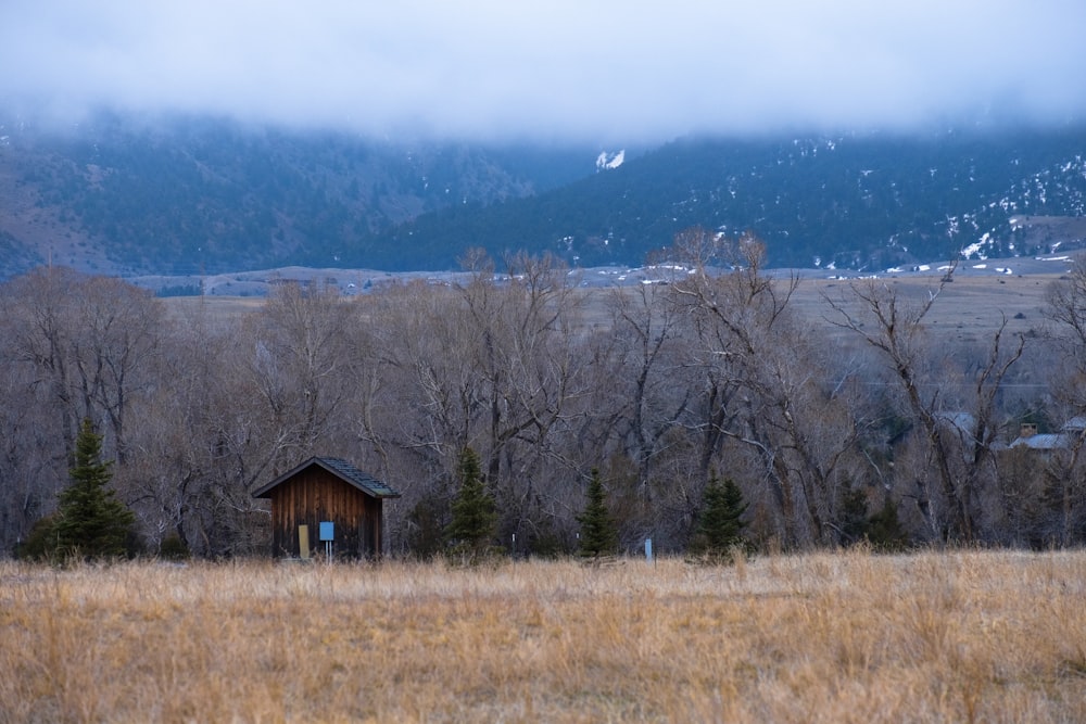 a cabin in a field with mountains in the background