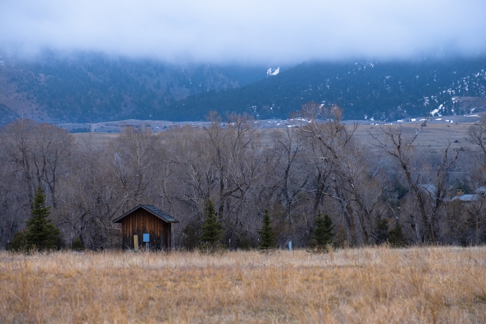 eine Hütte auf einem Feld mit Bergen im Hintergrund