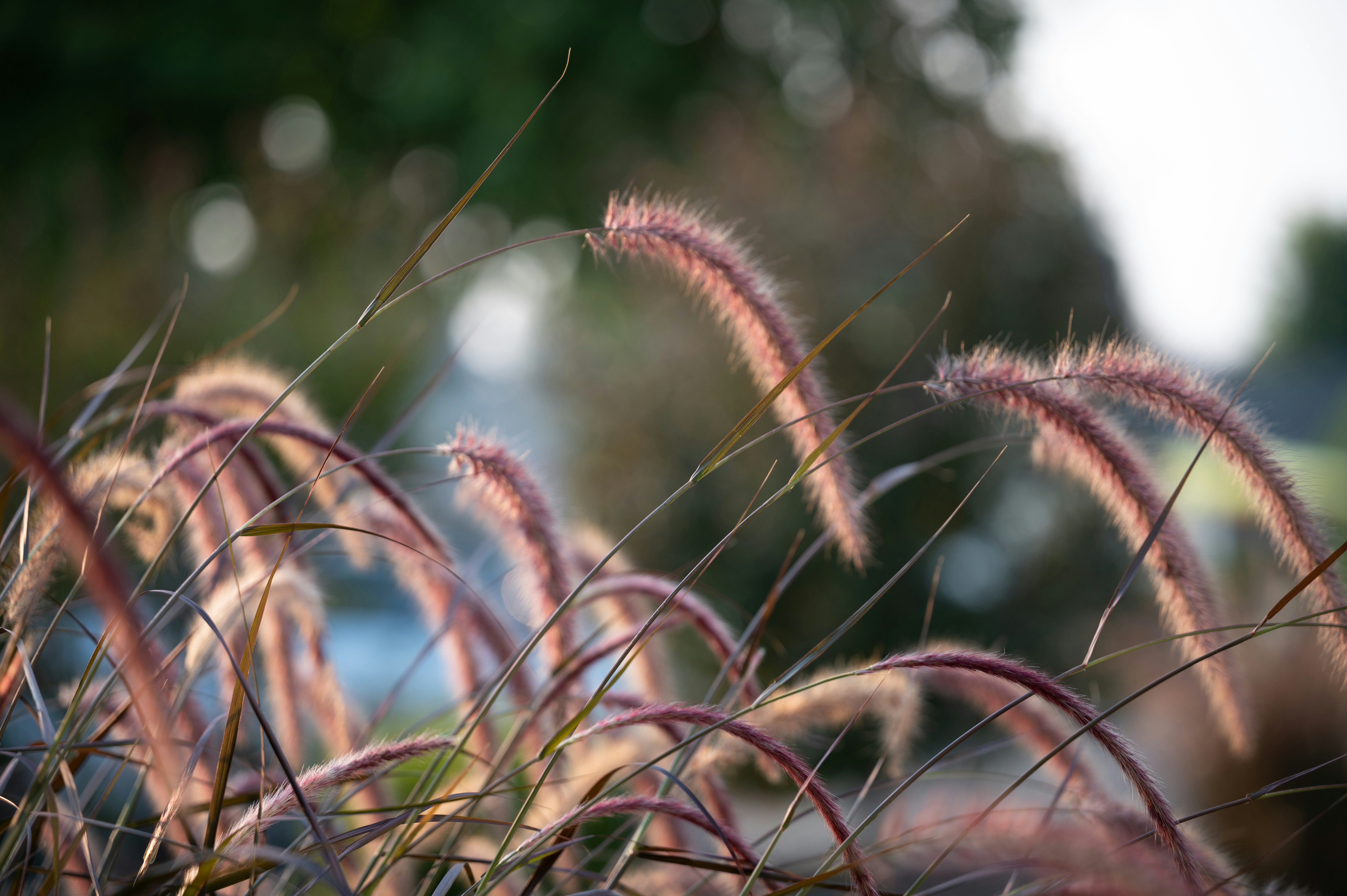 Photo by georgedesigner