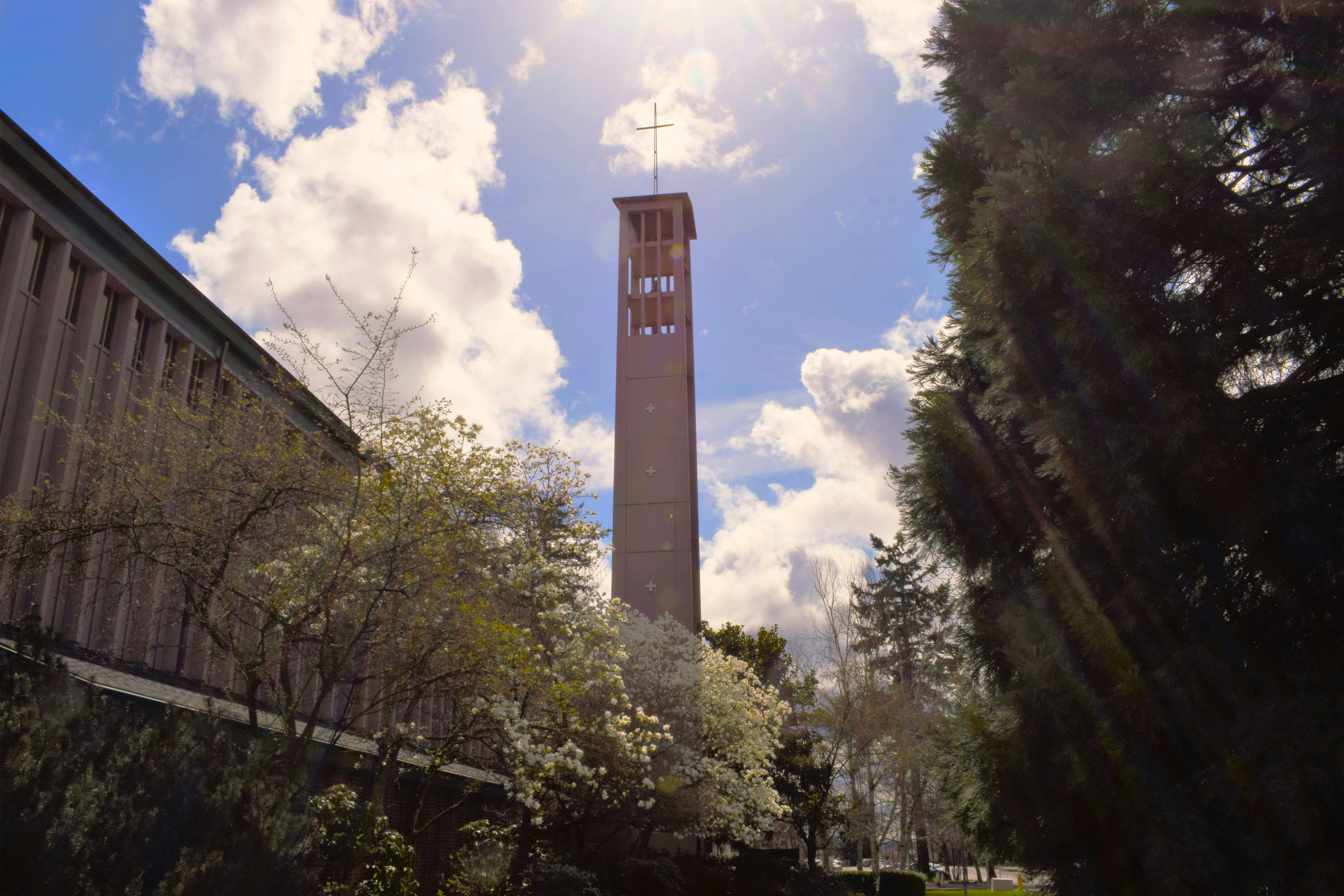 a tall clock tower towering over a lush green park