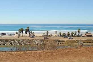 a sandy beach with palm trees and a body of water
