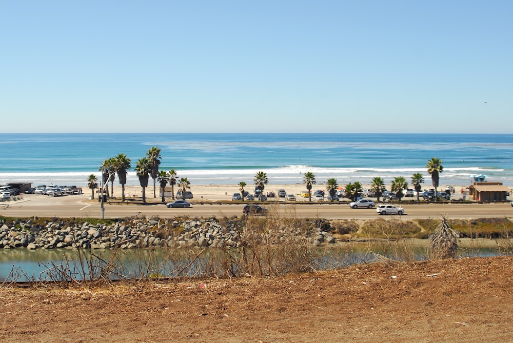 a sandy beach with palm trees and a body of water