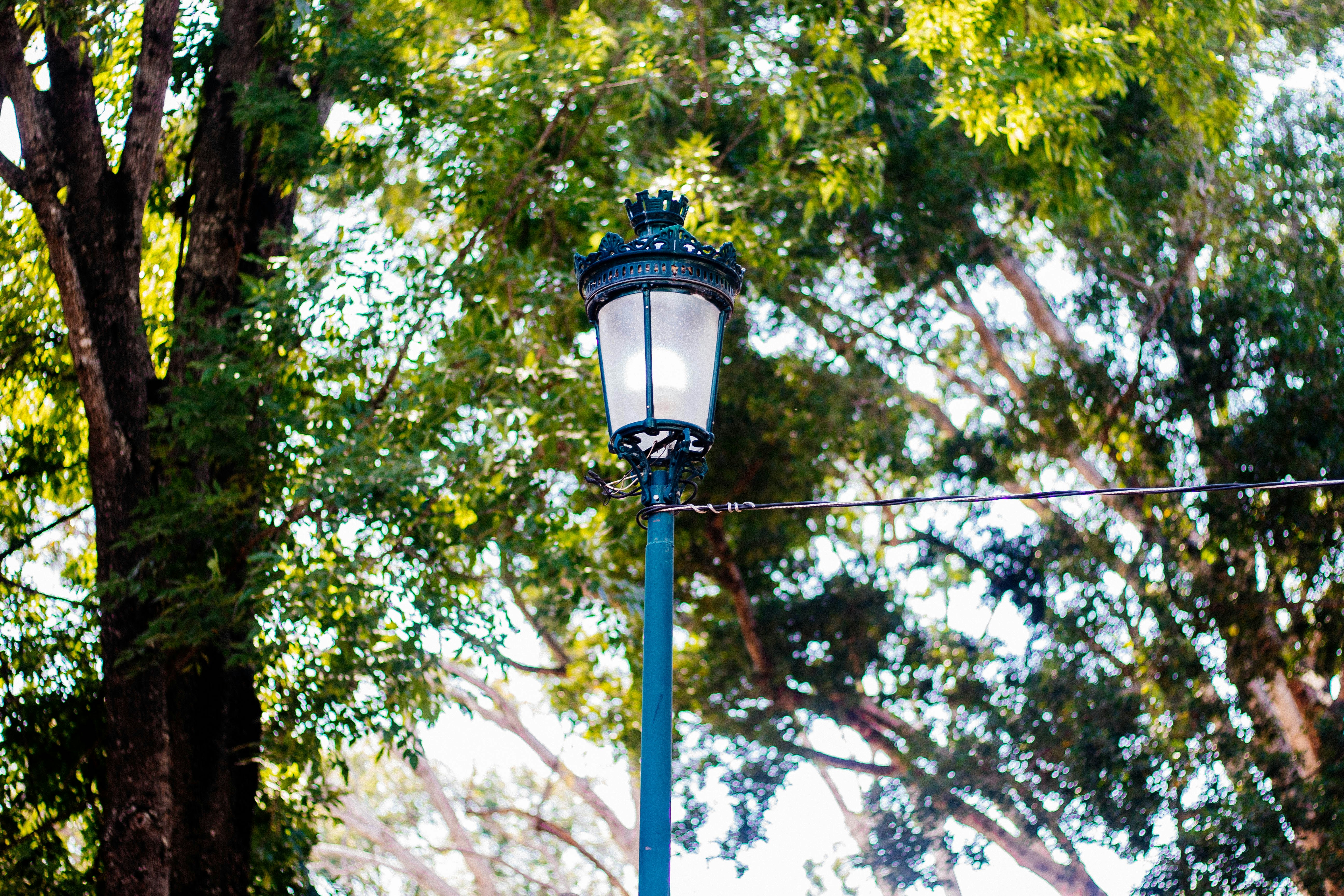 Photo by alexgallegos