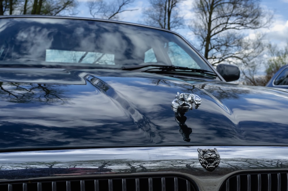 a close up of the hood of a car