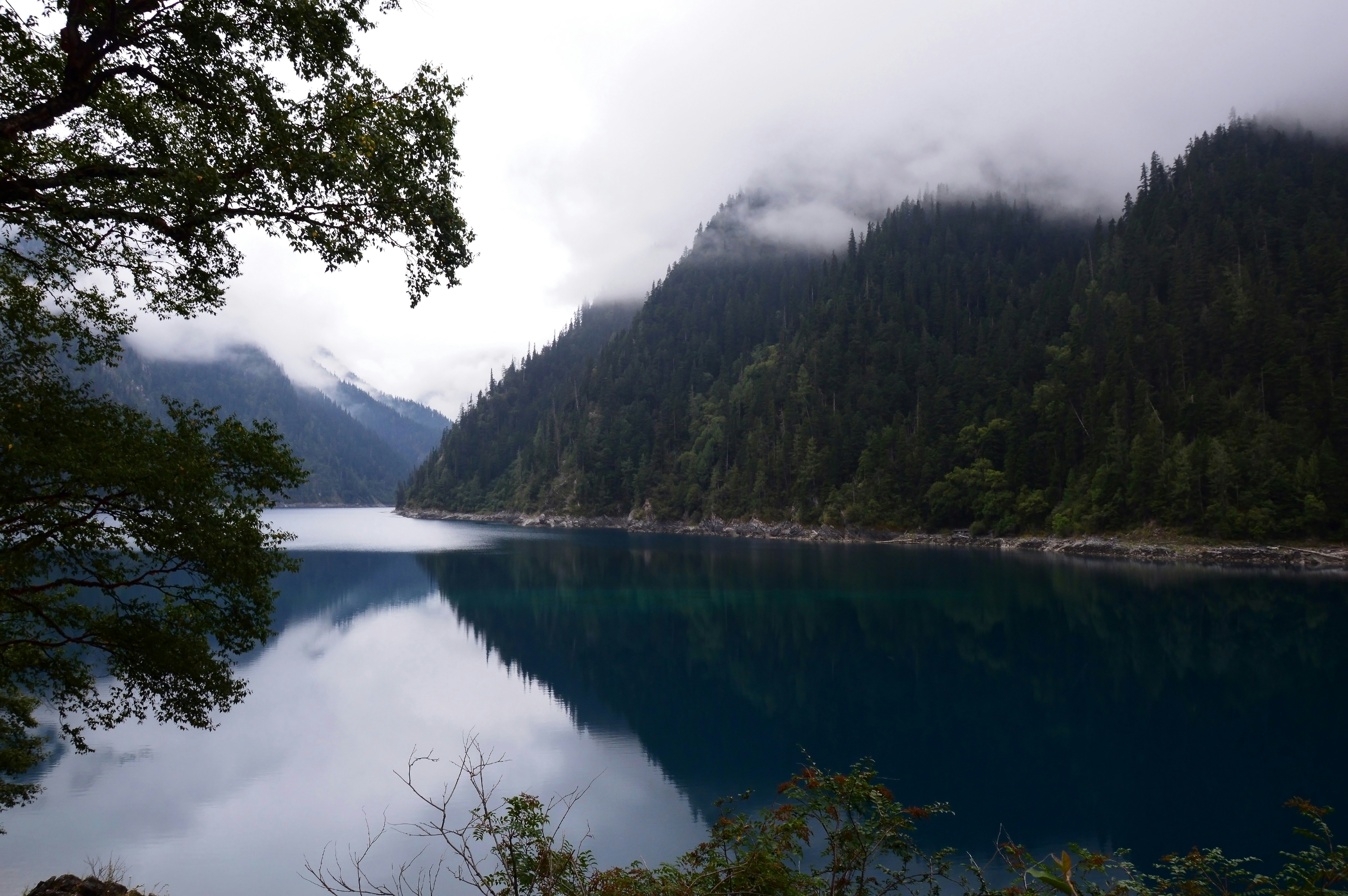 Photo by yiminburger