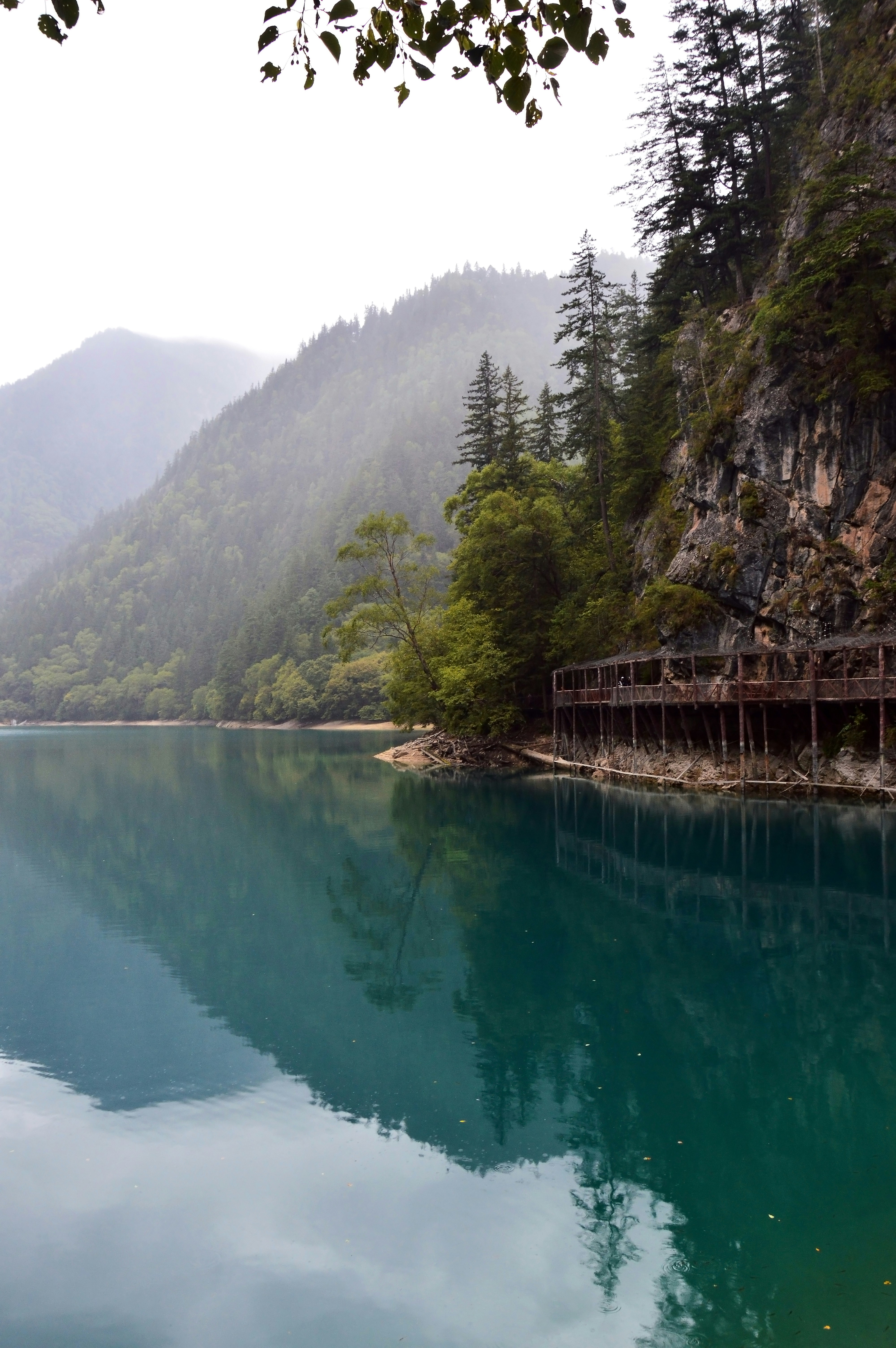 Photo by yiminburger