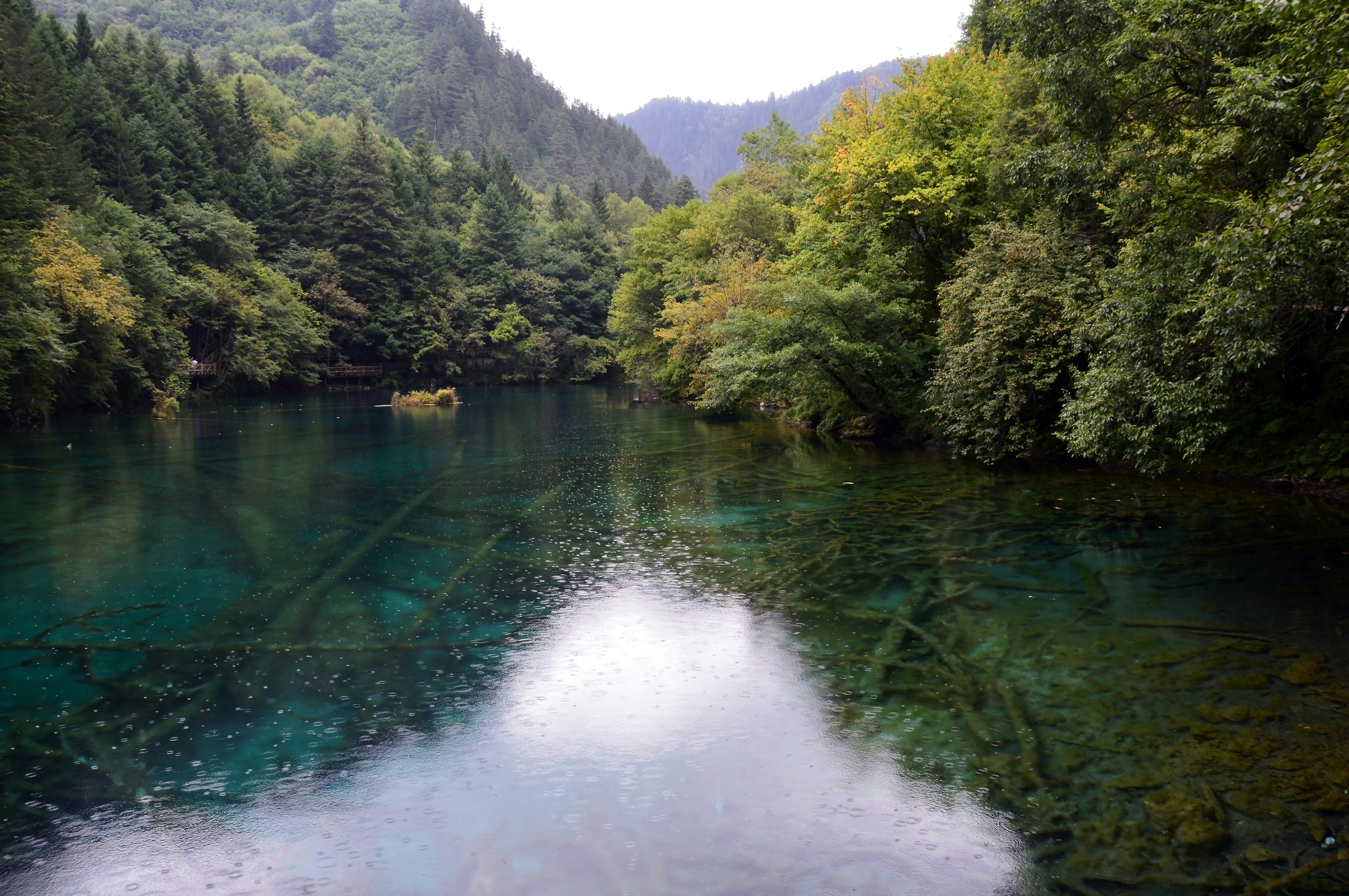 Photo by yiminburger