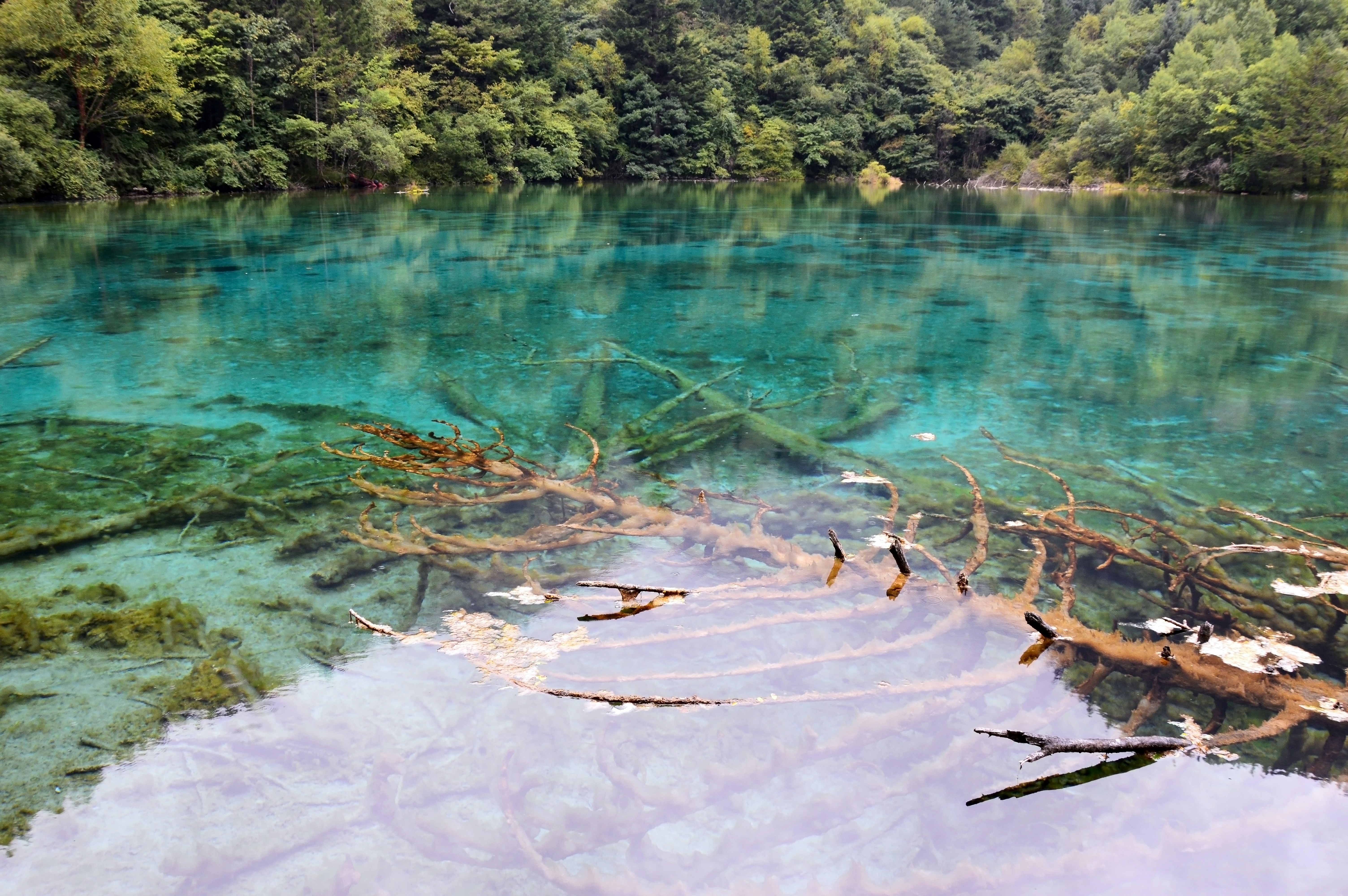 Photo by yiminburger