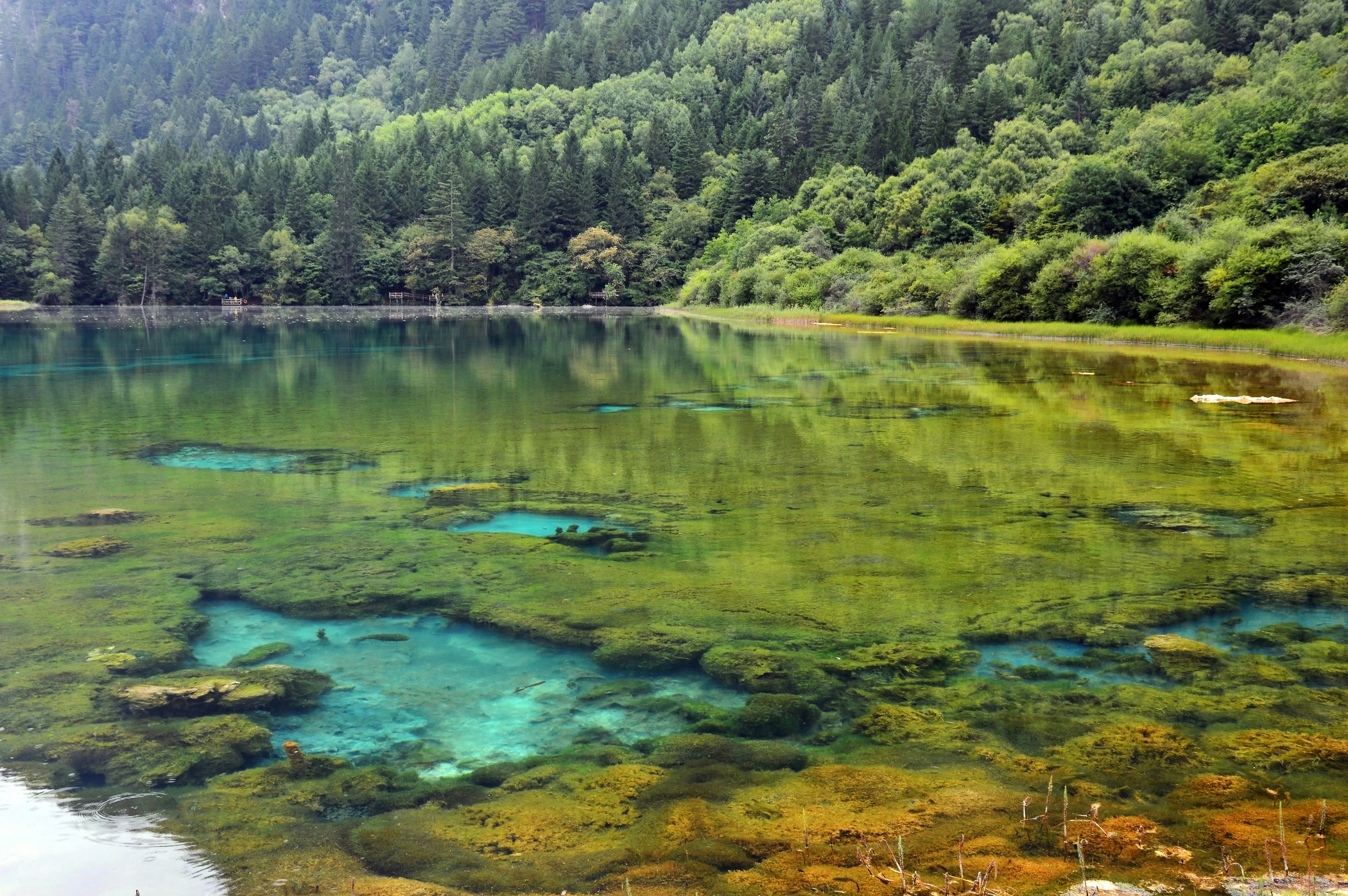 Photo by yiminburger