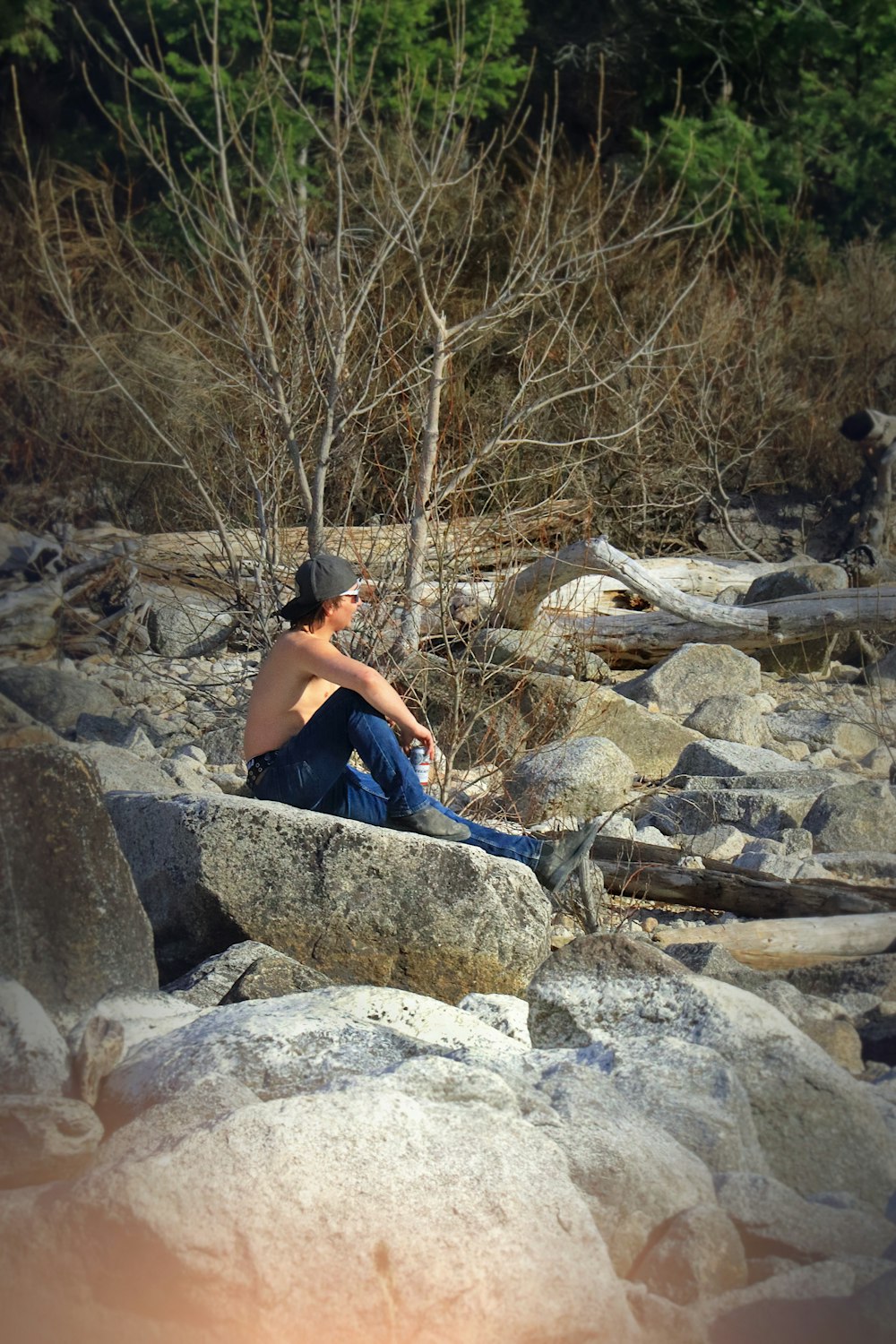 a man sitting on a rock next to a tree