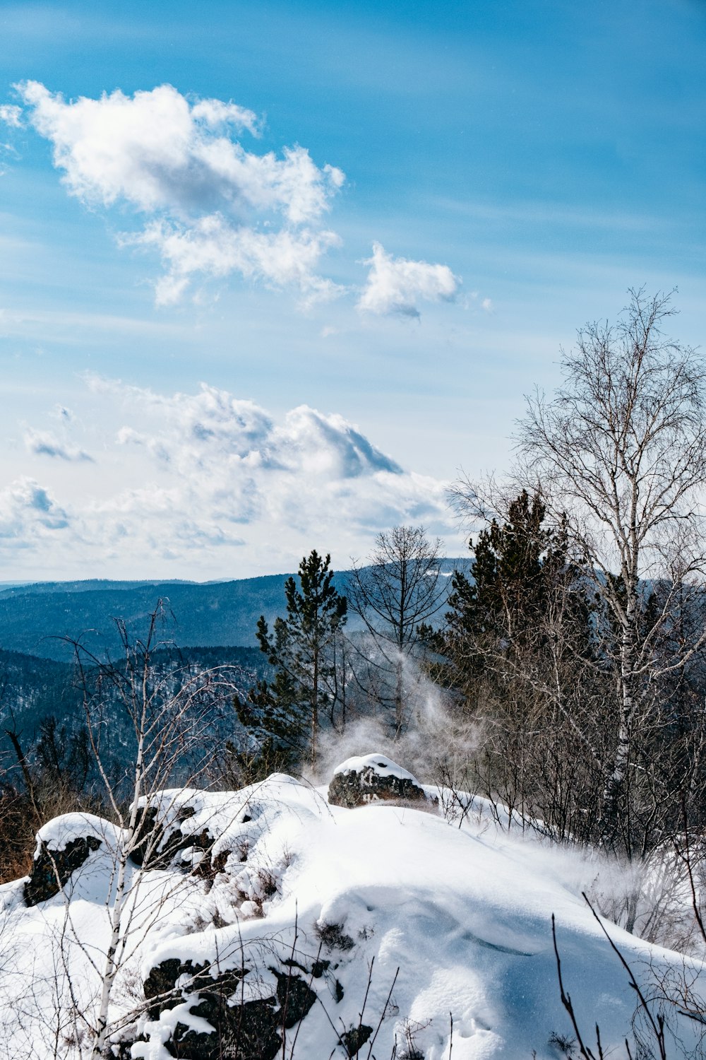 a snow covered hill with trees in the background