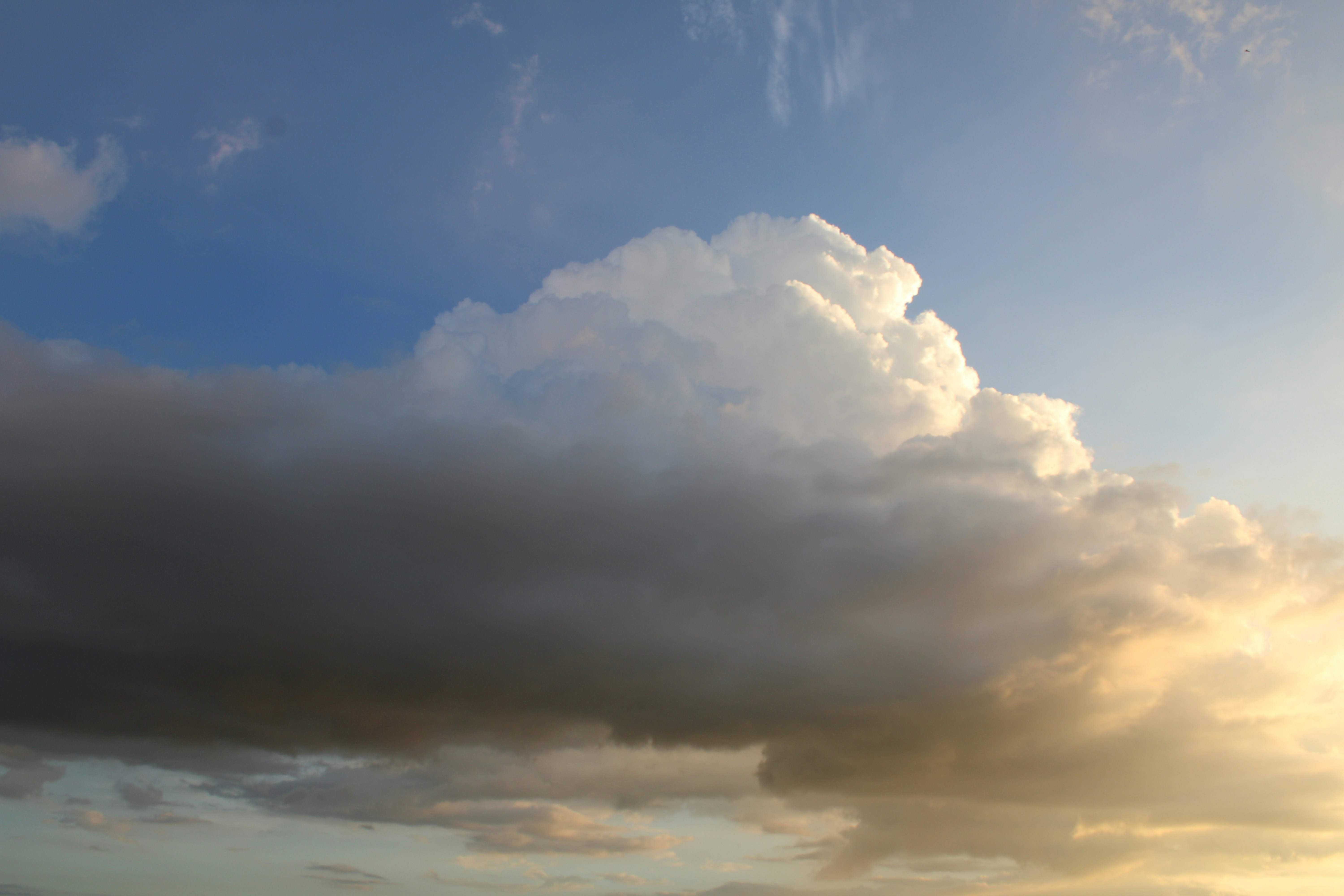 Photo by photoloveramico