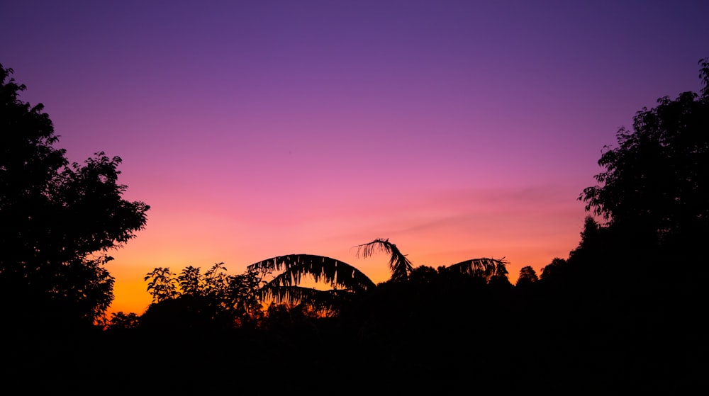 ein lila und rosafarbener Himmel mit Bäumen im Vordergrund