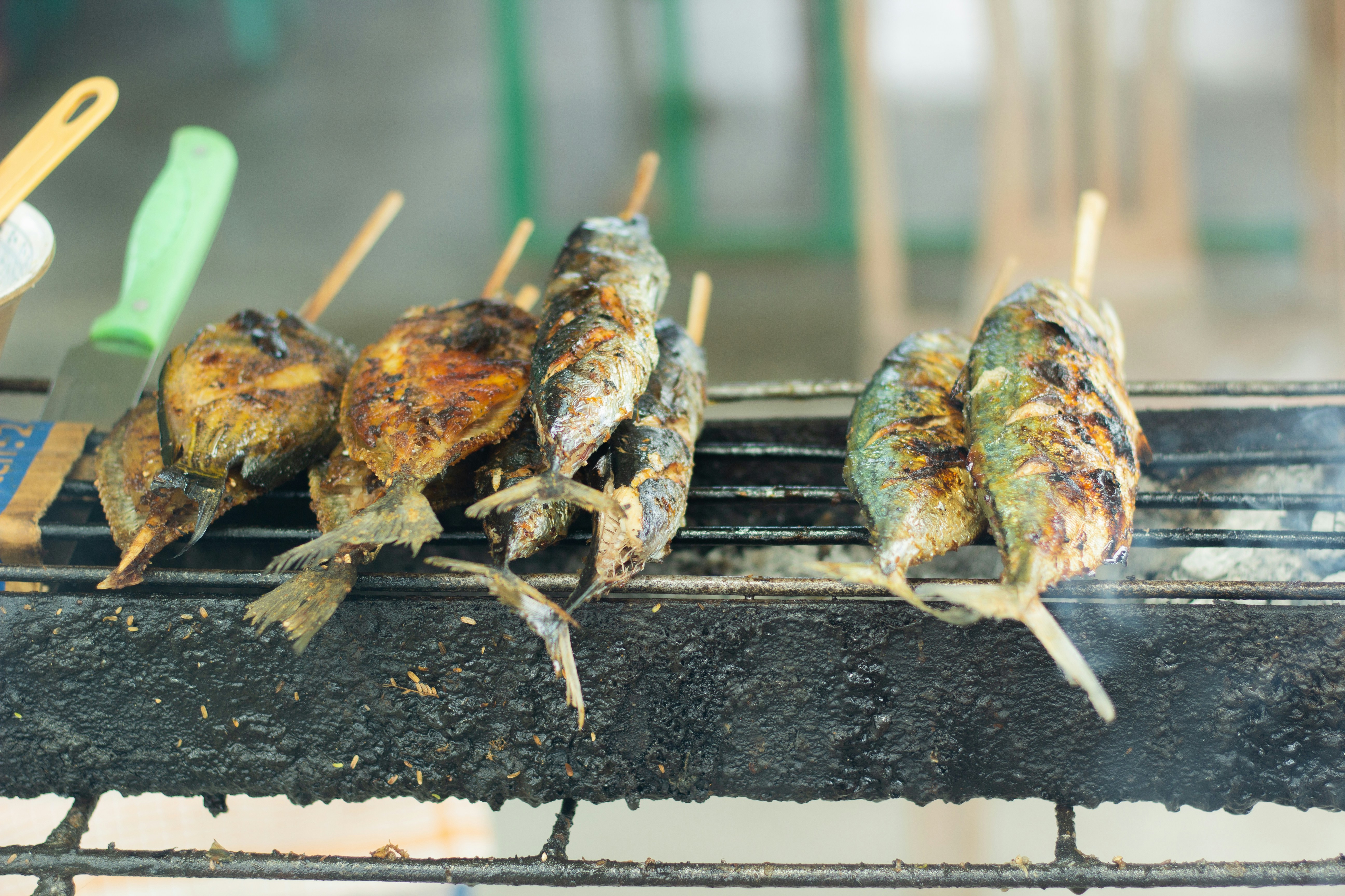 Manatuto, Timor-Leste - None