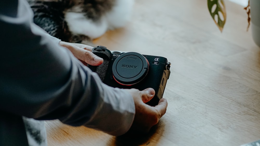a person holding a camera with a cat in the background