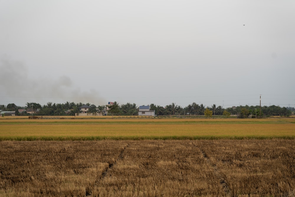 a field with a house in the distance