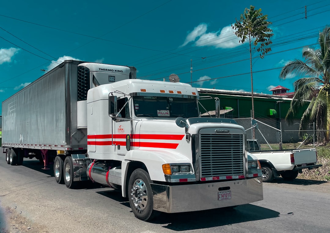 a large semi truck driving down a street, A white semi truck with red stripes is parked on the side of the road. The vehicle features a refrigerated trailer unit by Thermo King. Palm trees and a sunny blue sky suggest a tropical location, possibly indicating regional transport.
