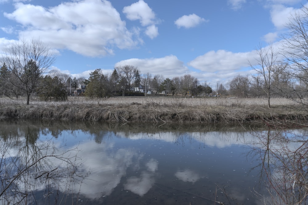 a body of water surrounded by trees and grass