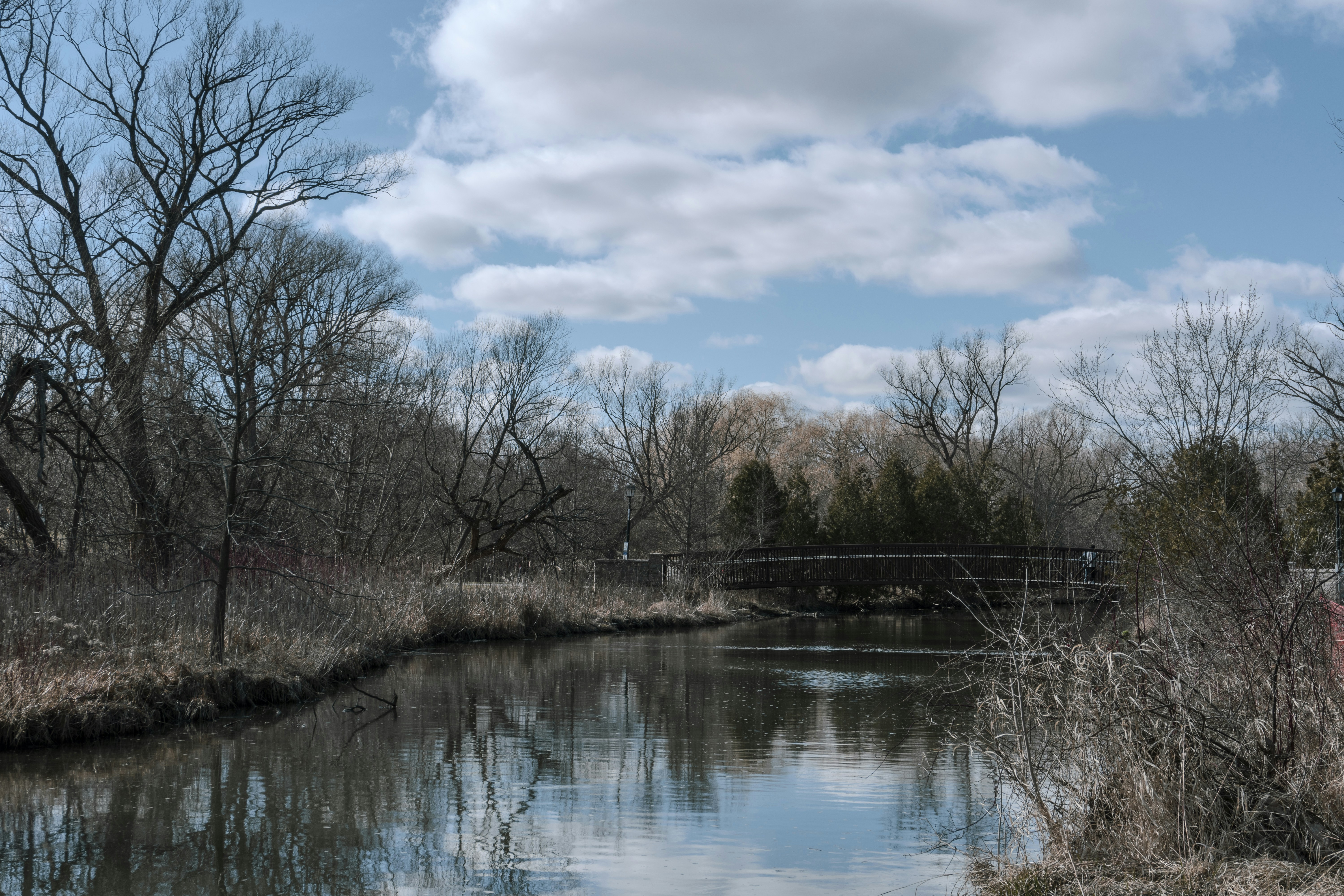 Photo by maheshkkreddy
