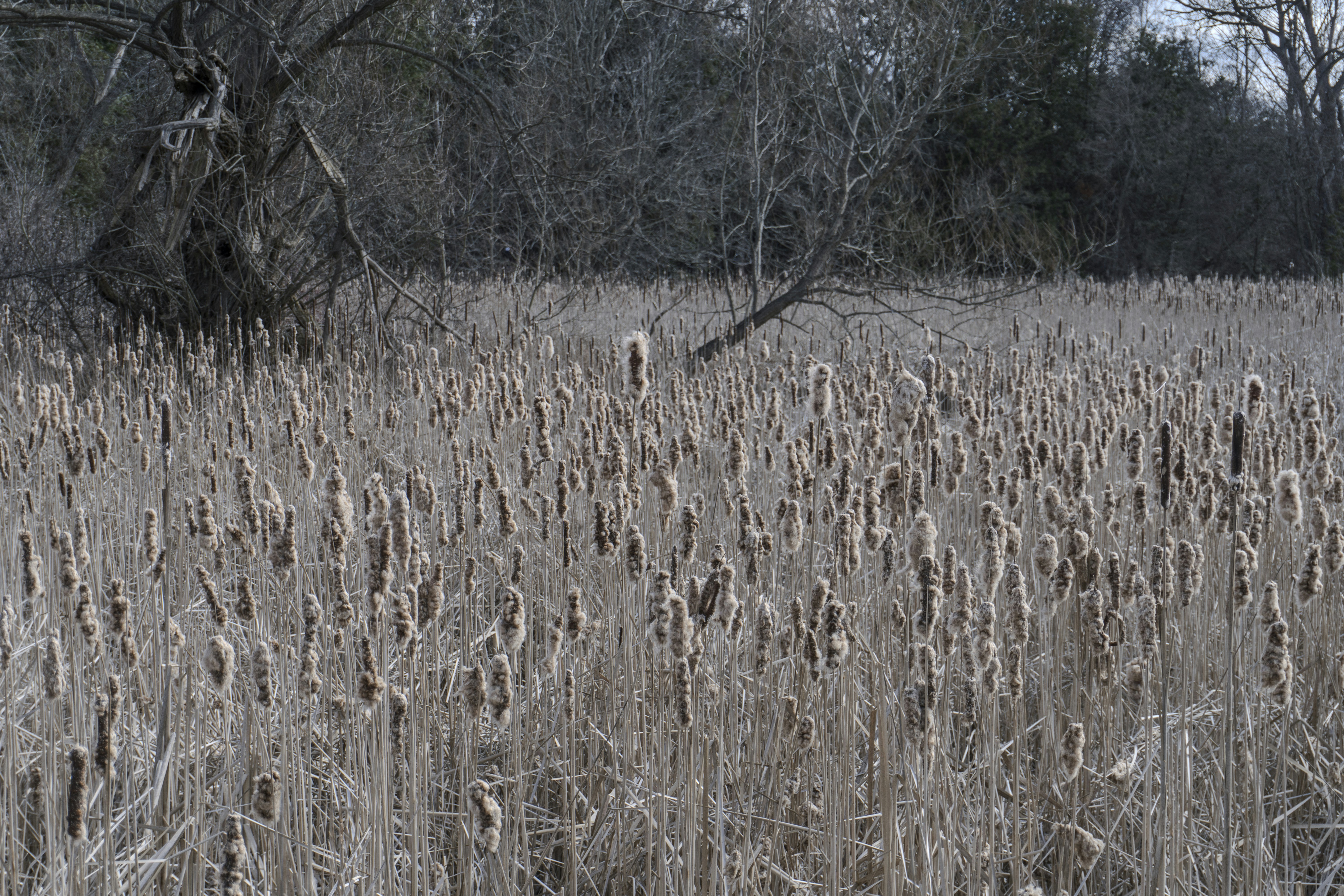 Photo by maheshkkreddy