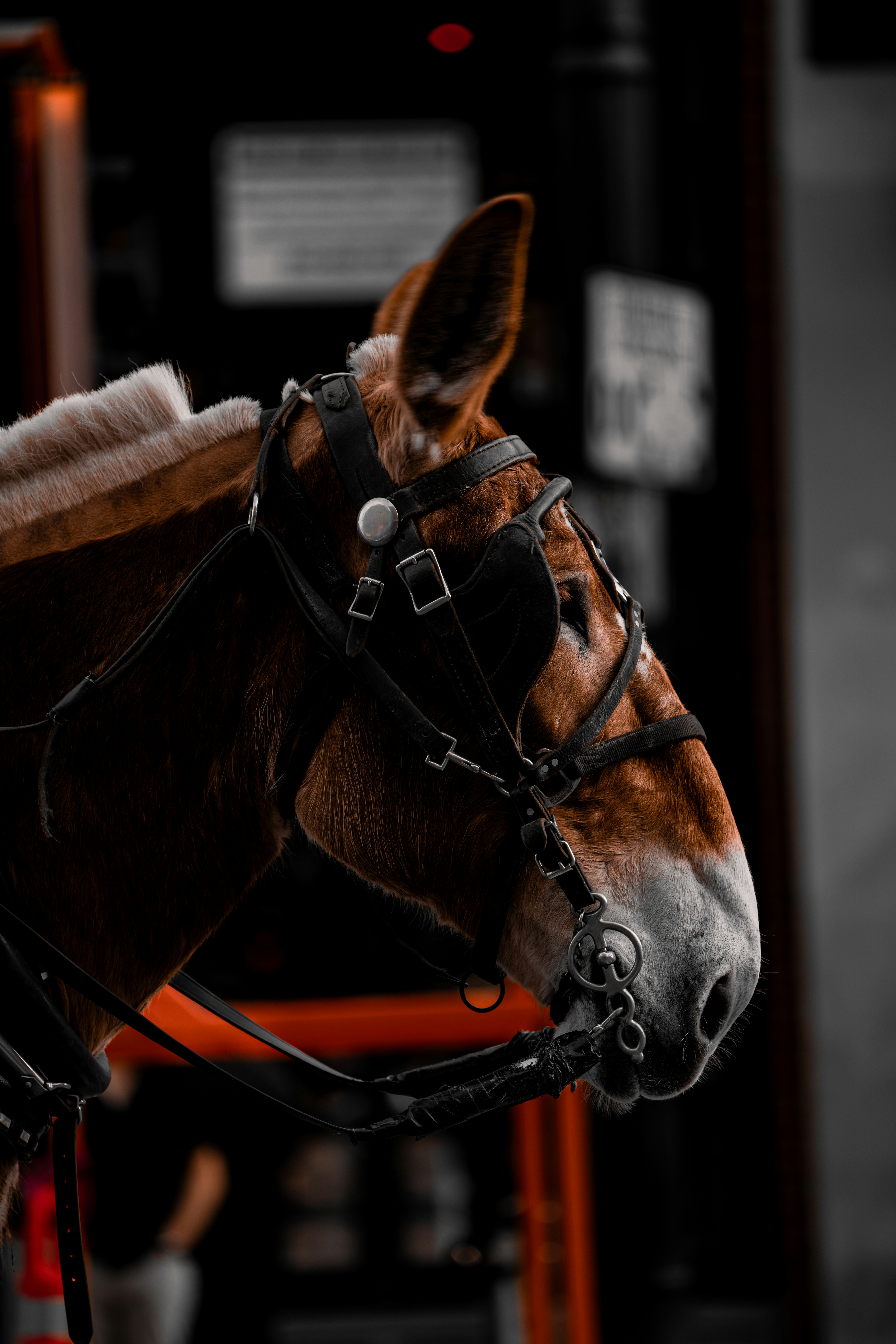 Photo by damiankravchuk