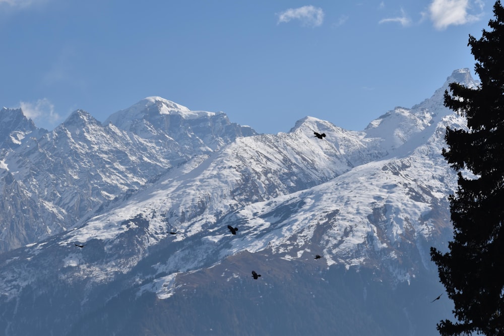 a view of a mountain range with birds flying in the air