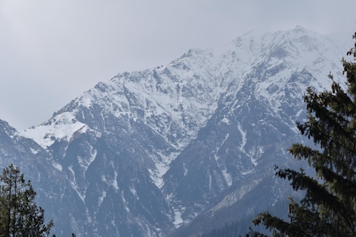 a snow covered mountain with trees in the foreground