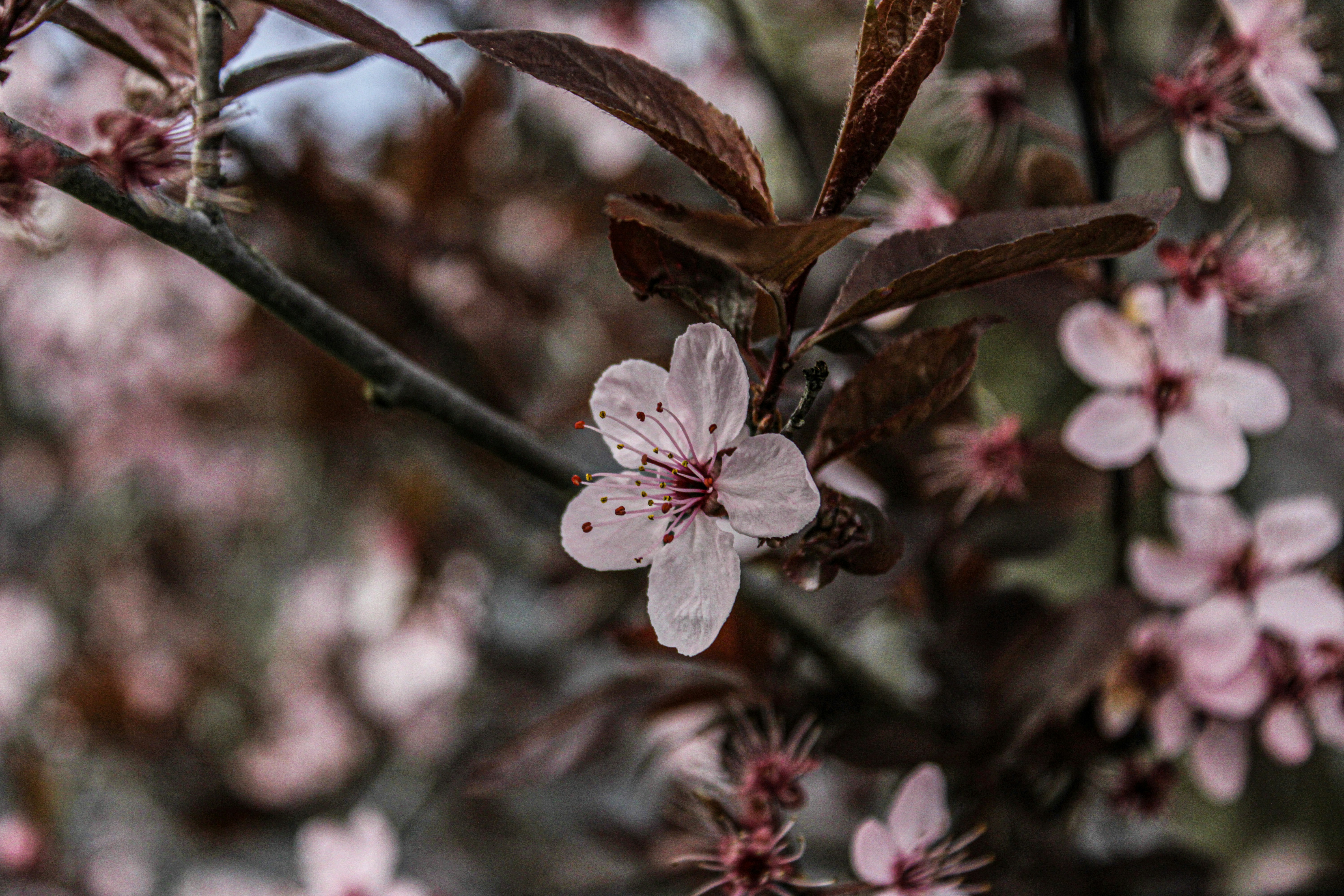 Photo by prphotography262