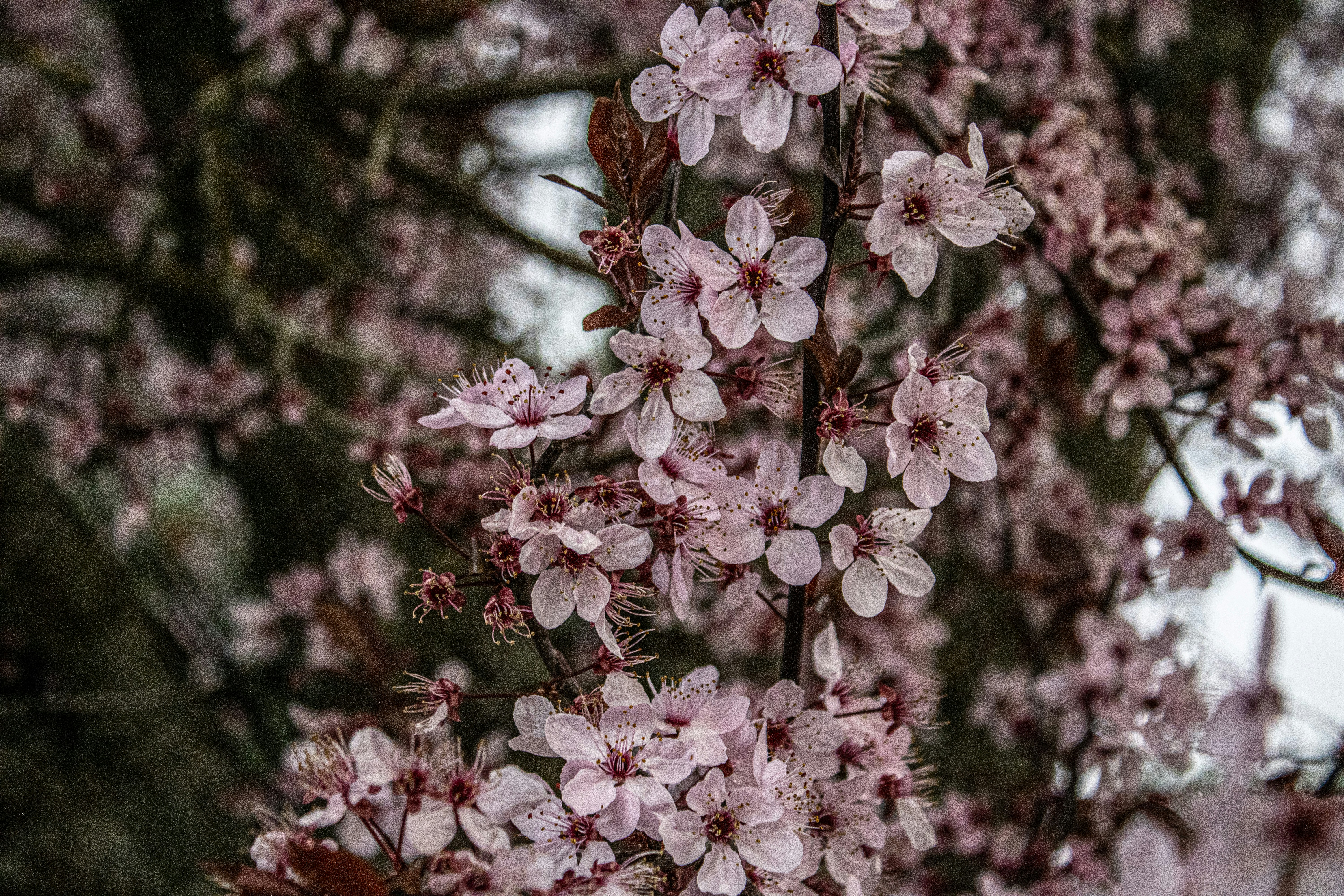 Photo by prphotography262