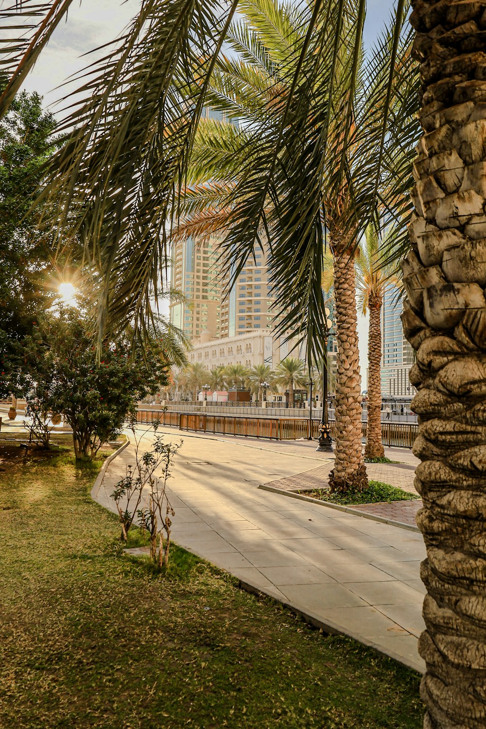 a couple of palm trees sitting on the side of a road