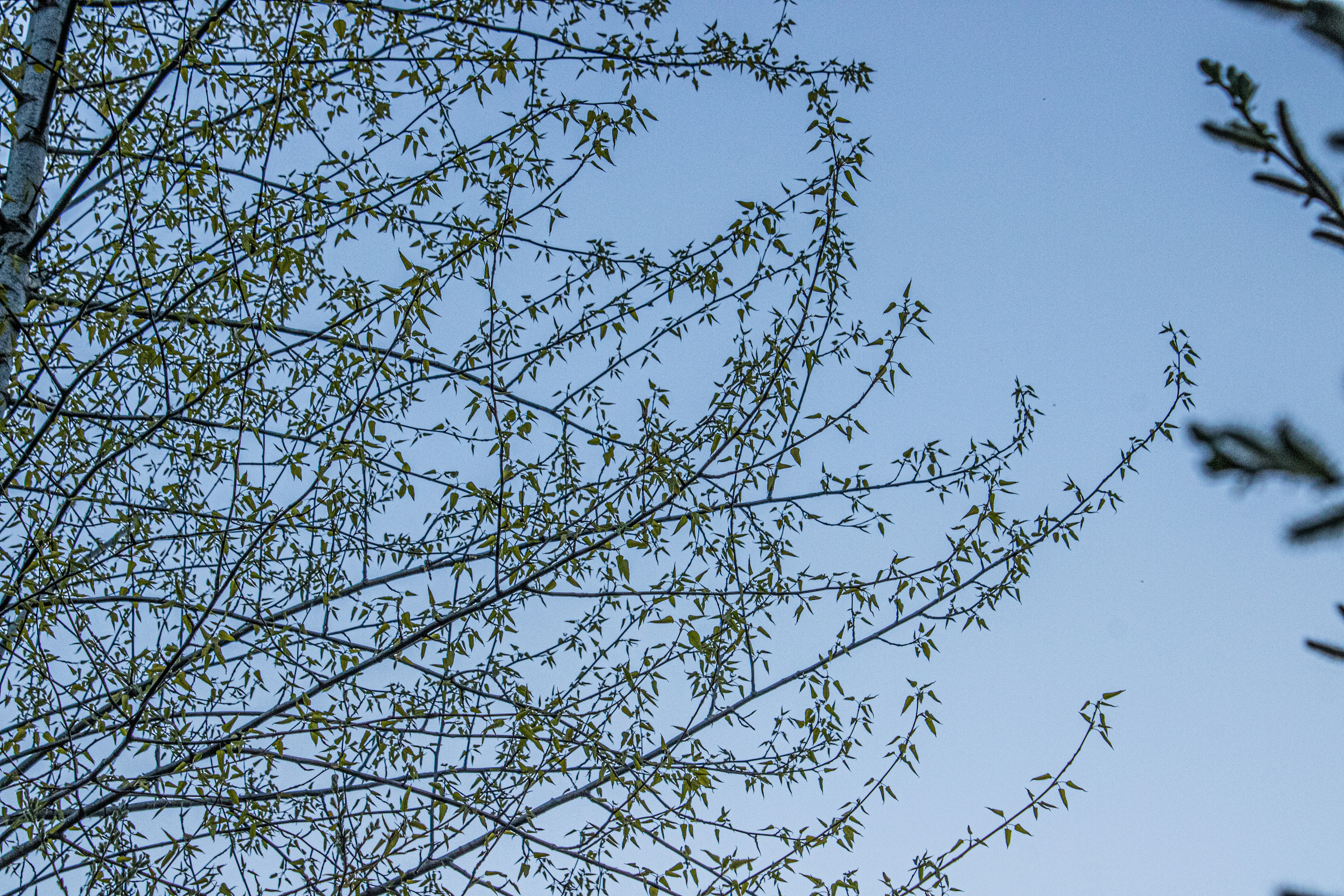 Photo by prphotography262