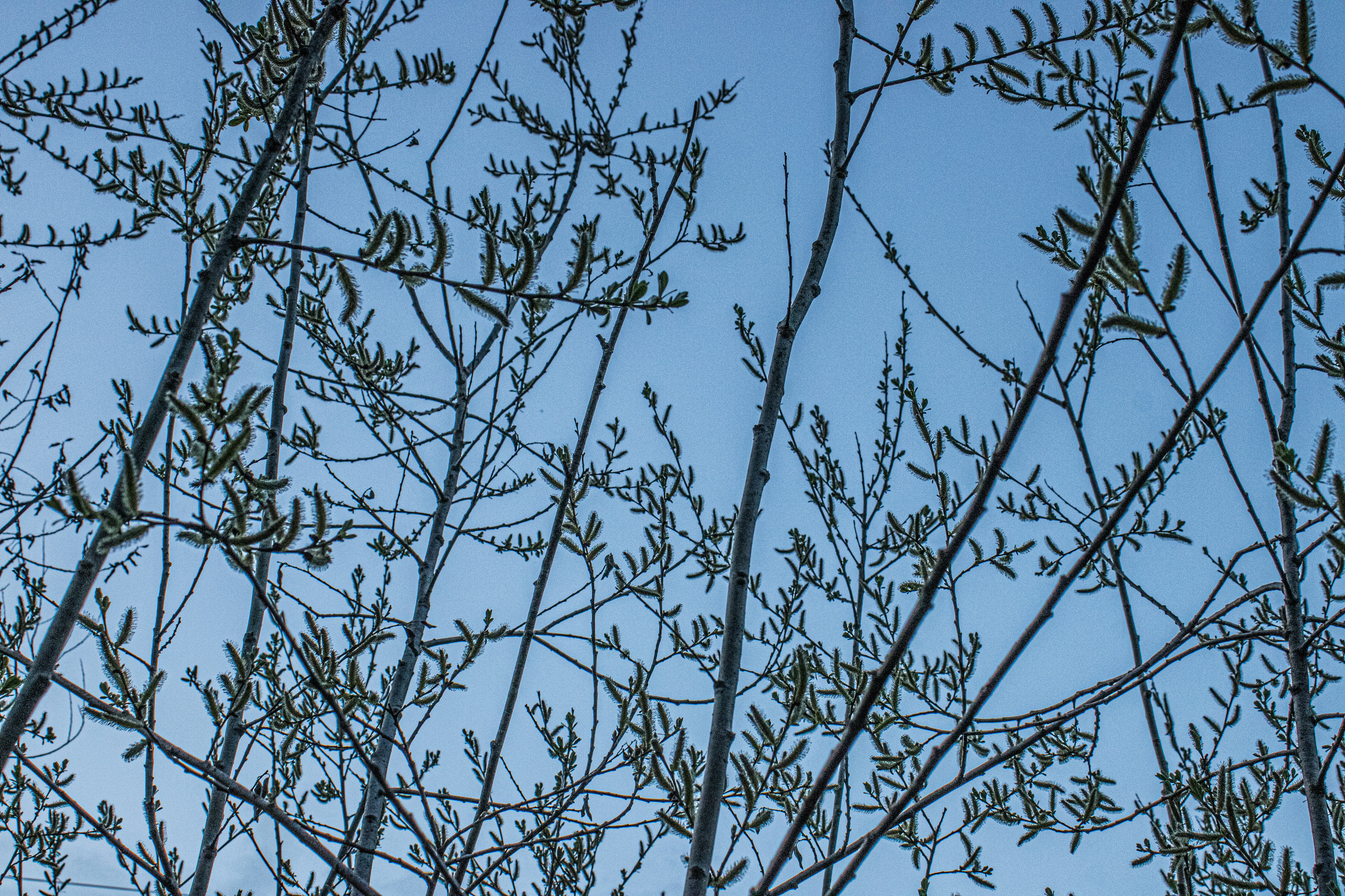 Photo by prphotography262