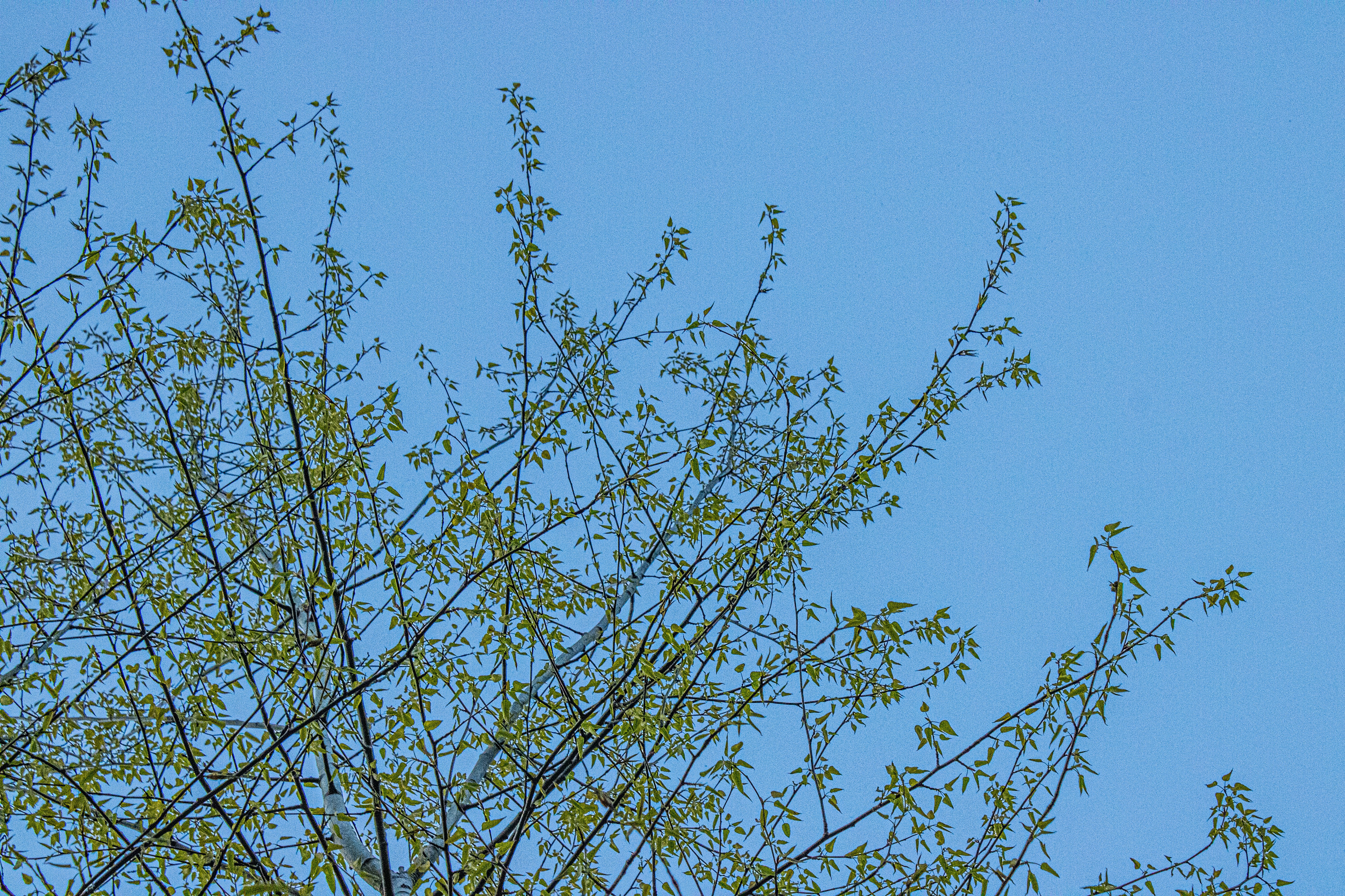 Photo by prphotography262