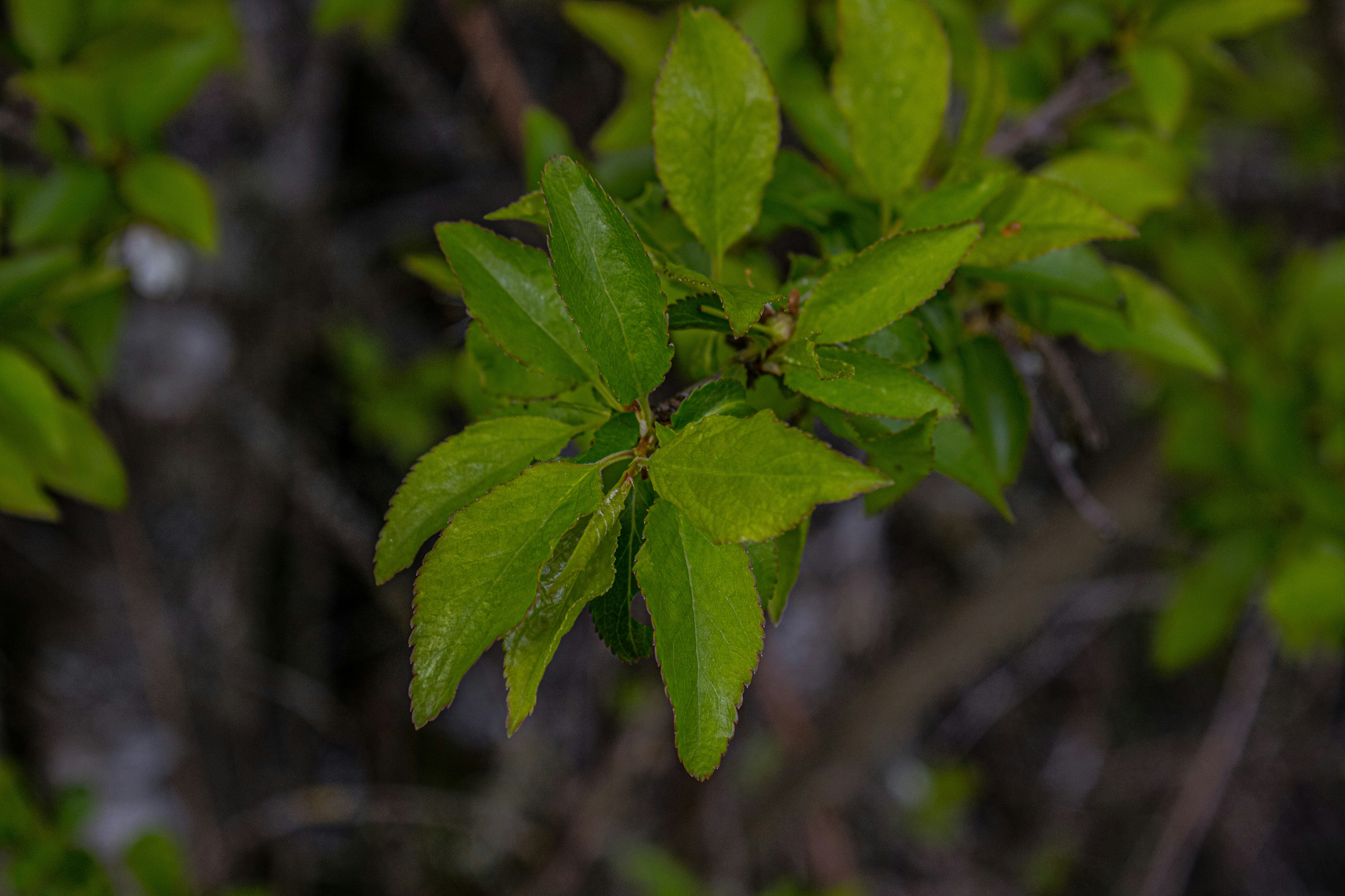 Photo by prphotography262