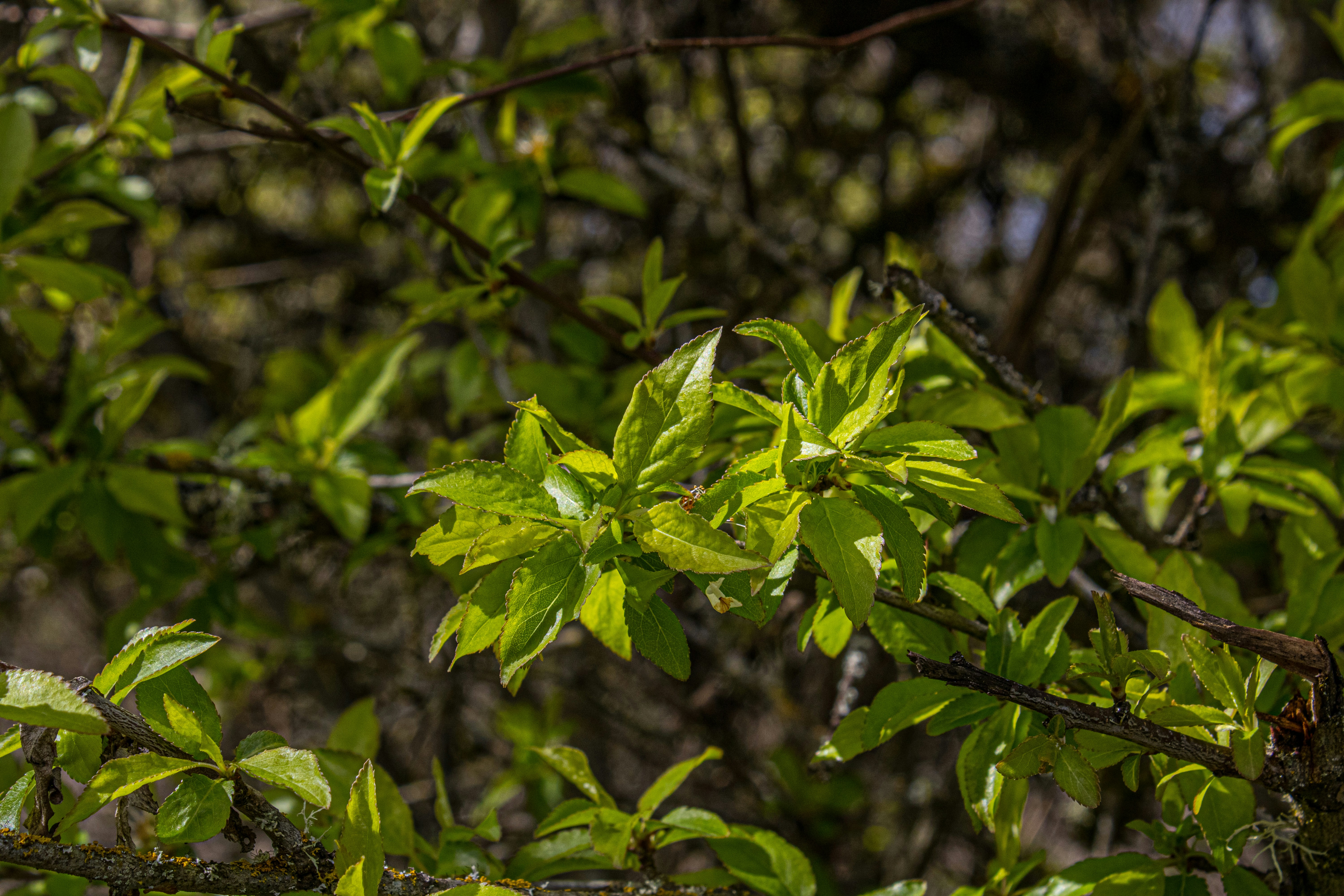 Photo by prphotography262