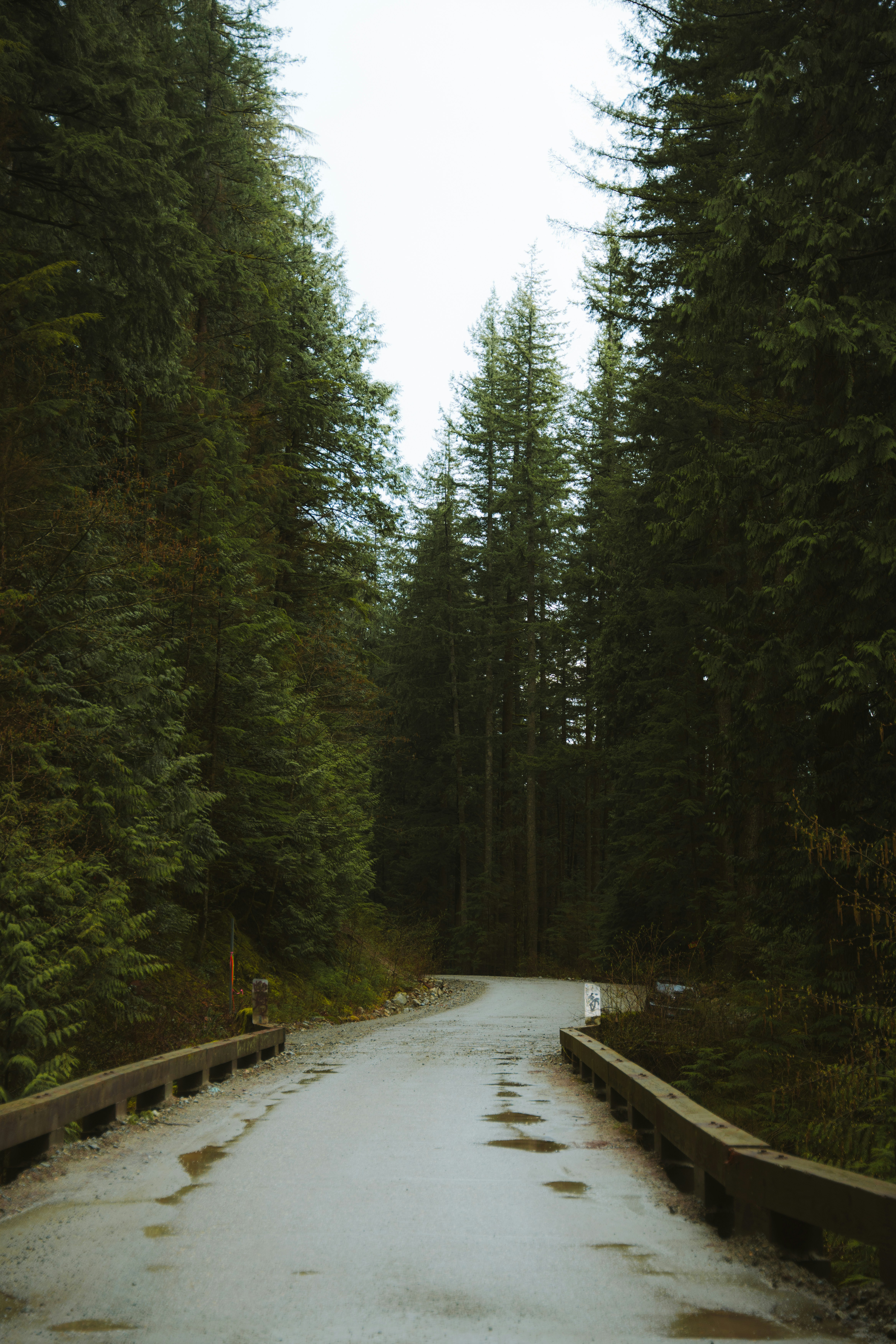 Photo by bylukemiller